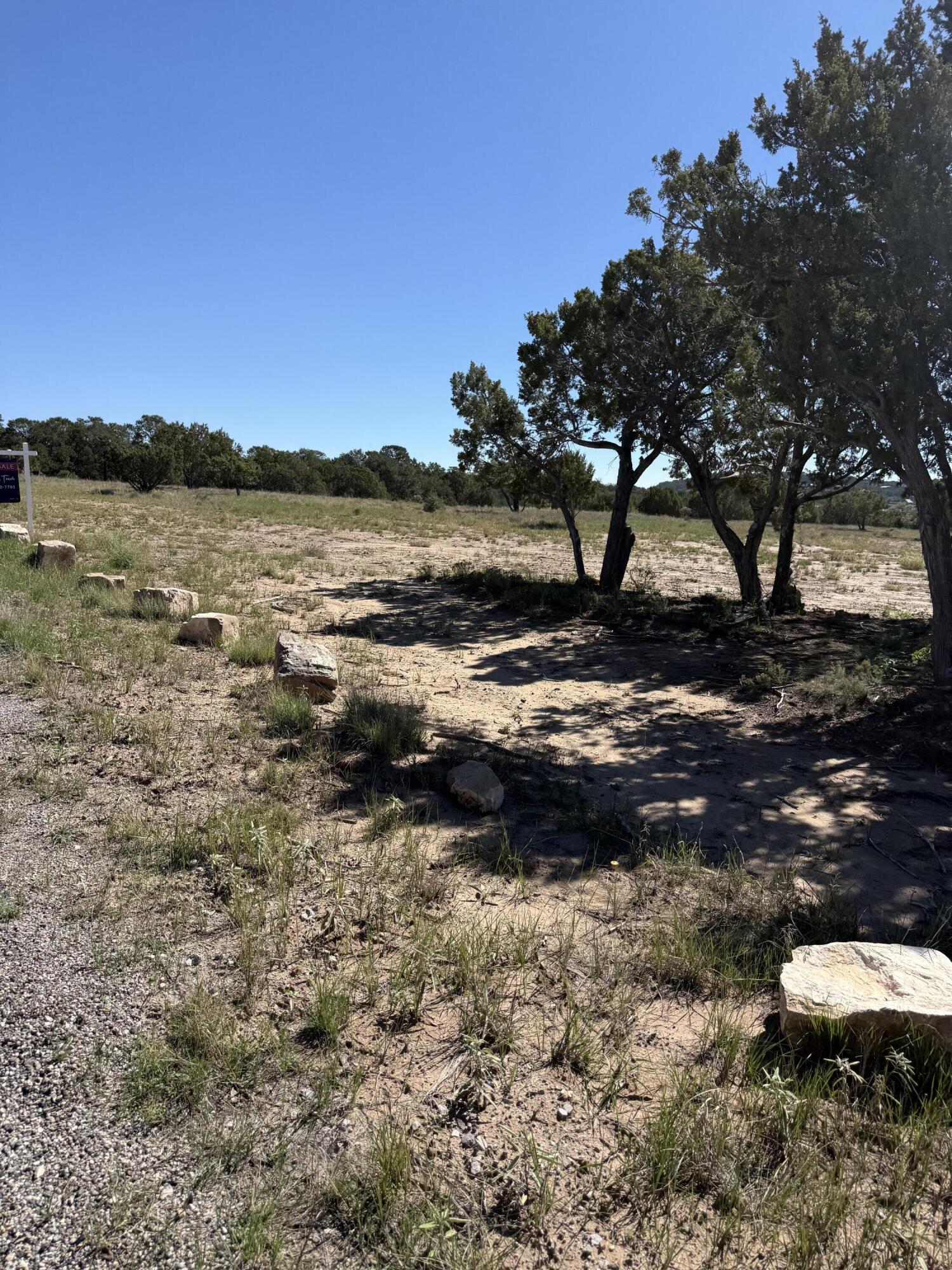 Photo 5 — 6 Sedillo Hill Place