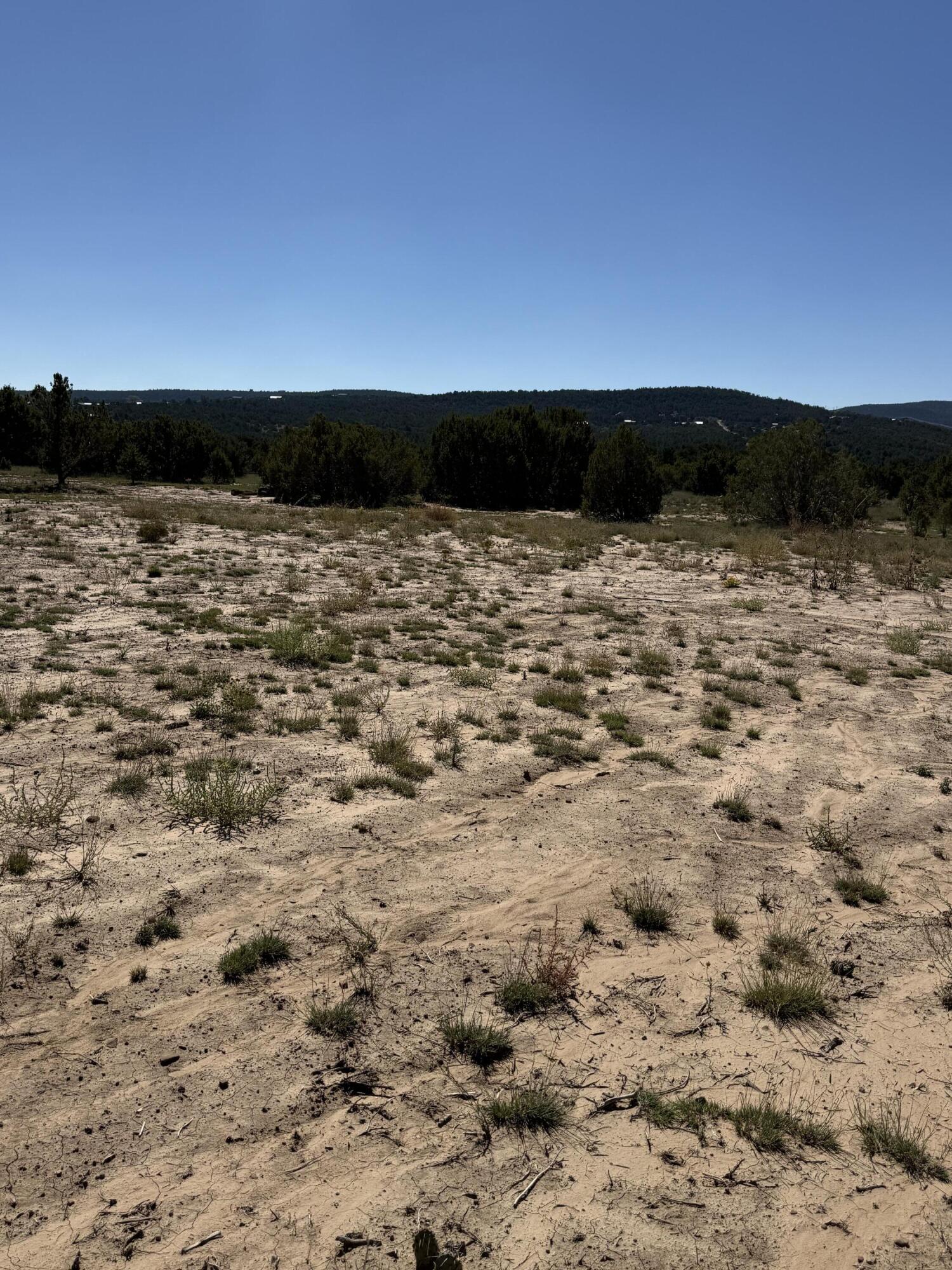 Photo 8 — 6 Sedillo Hill Place