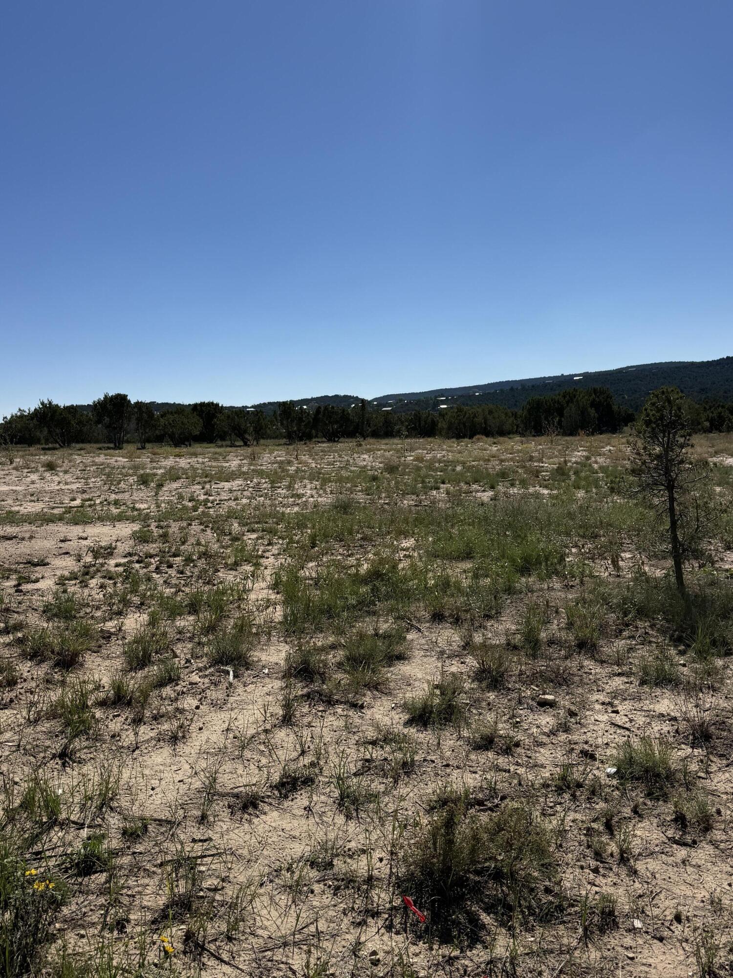 Photo 9 — 6 Sedillo Hill Place