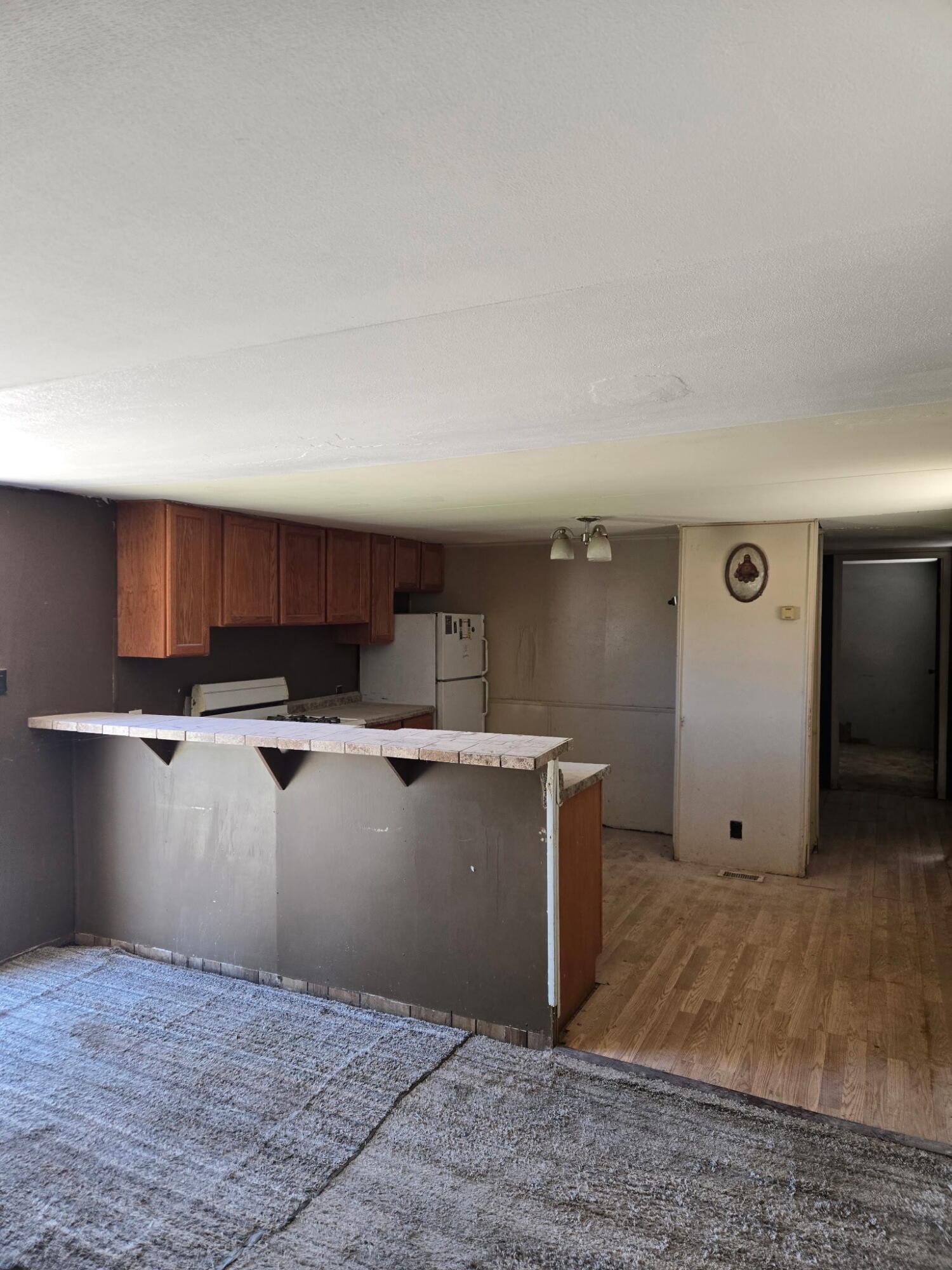 Photo 3 — 110 Romero Road