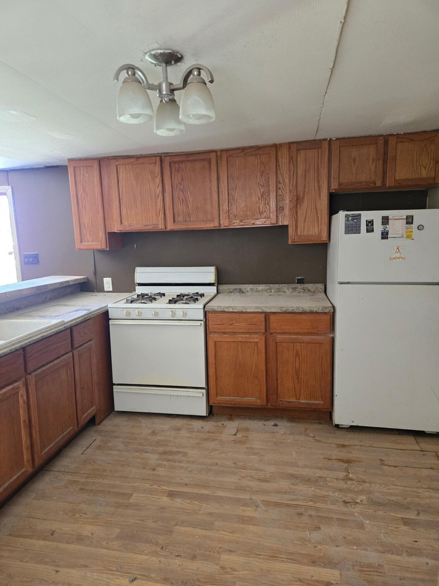 Photo 9 — 110 Romero Road
