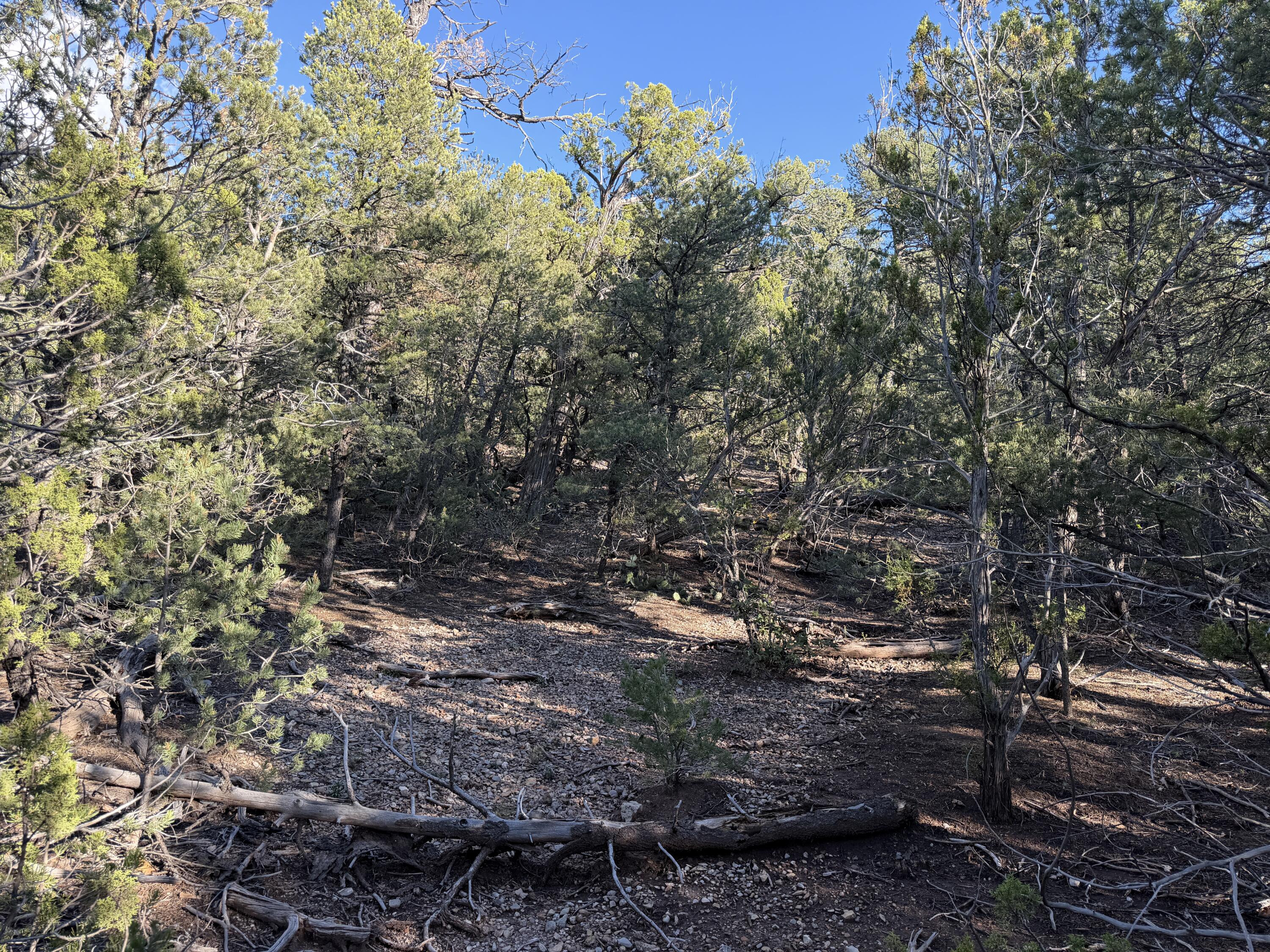 Photo 11 — 9 Los Pecos Loop