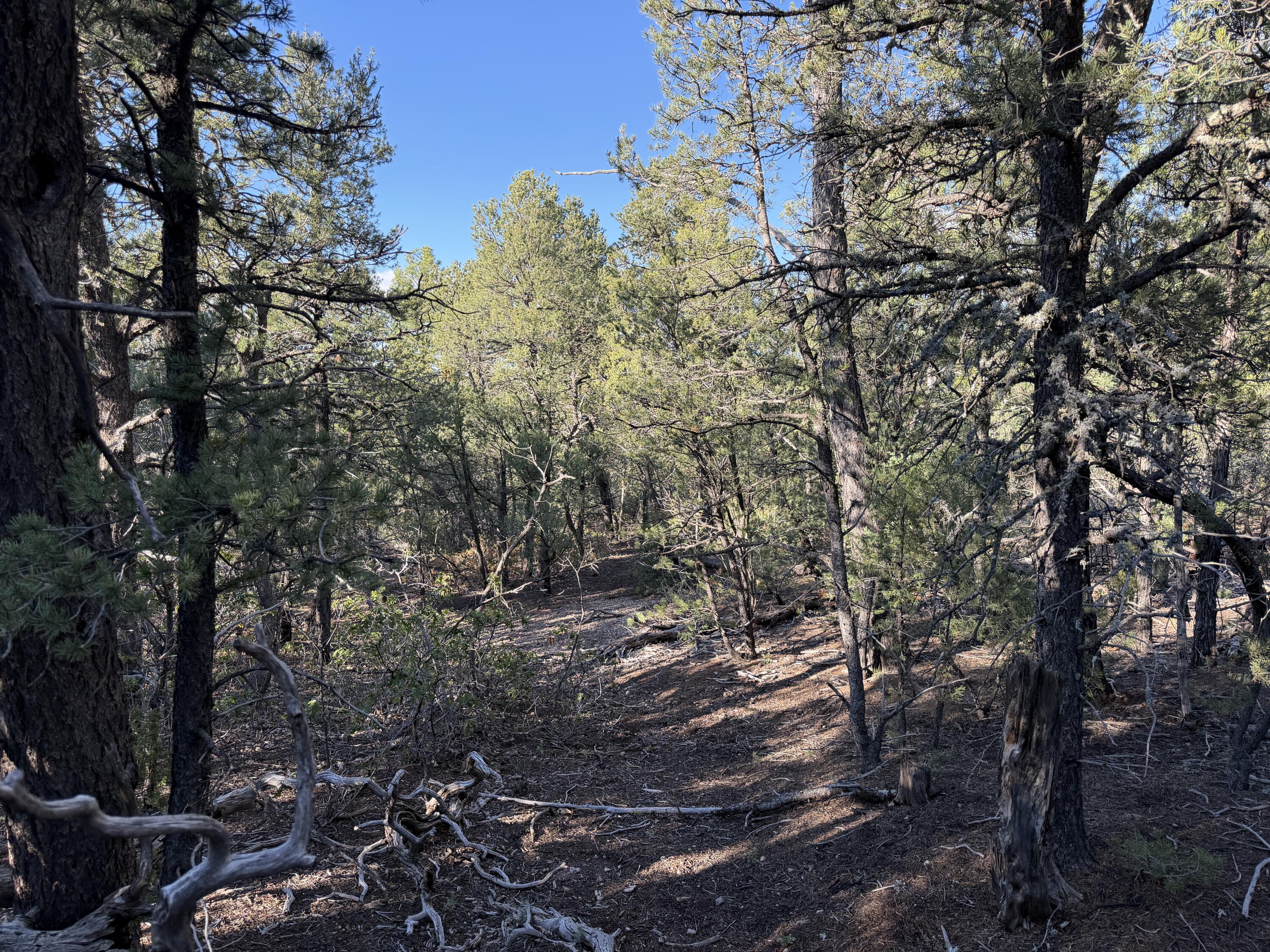 Photo 10 — 9 Los Pecos Loop