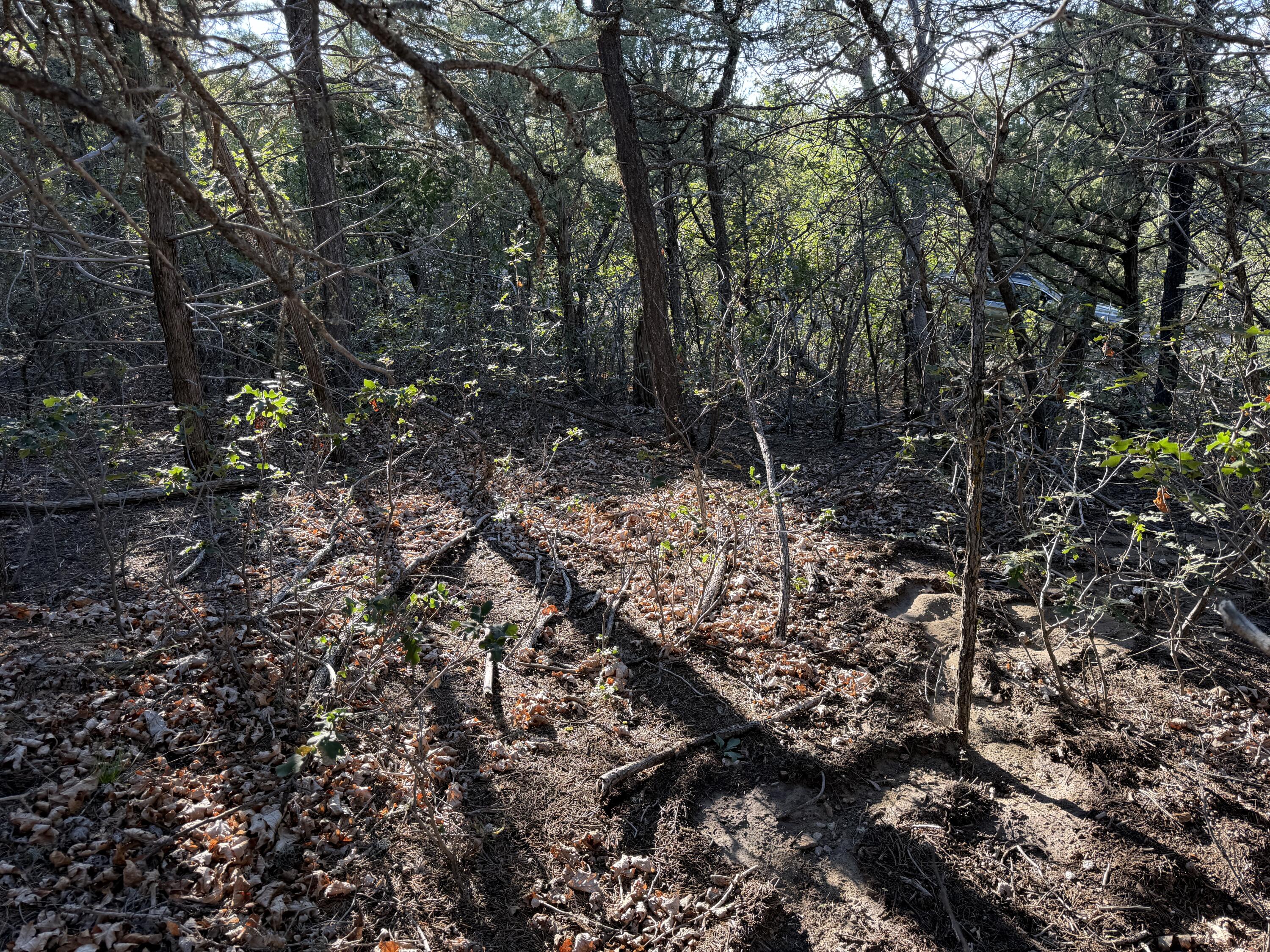 Photo 9 — 9 Los Pecos Loop