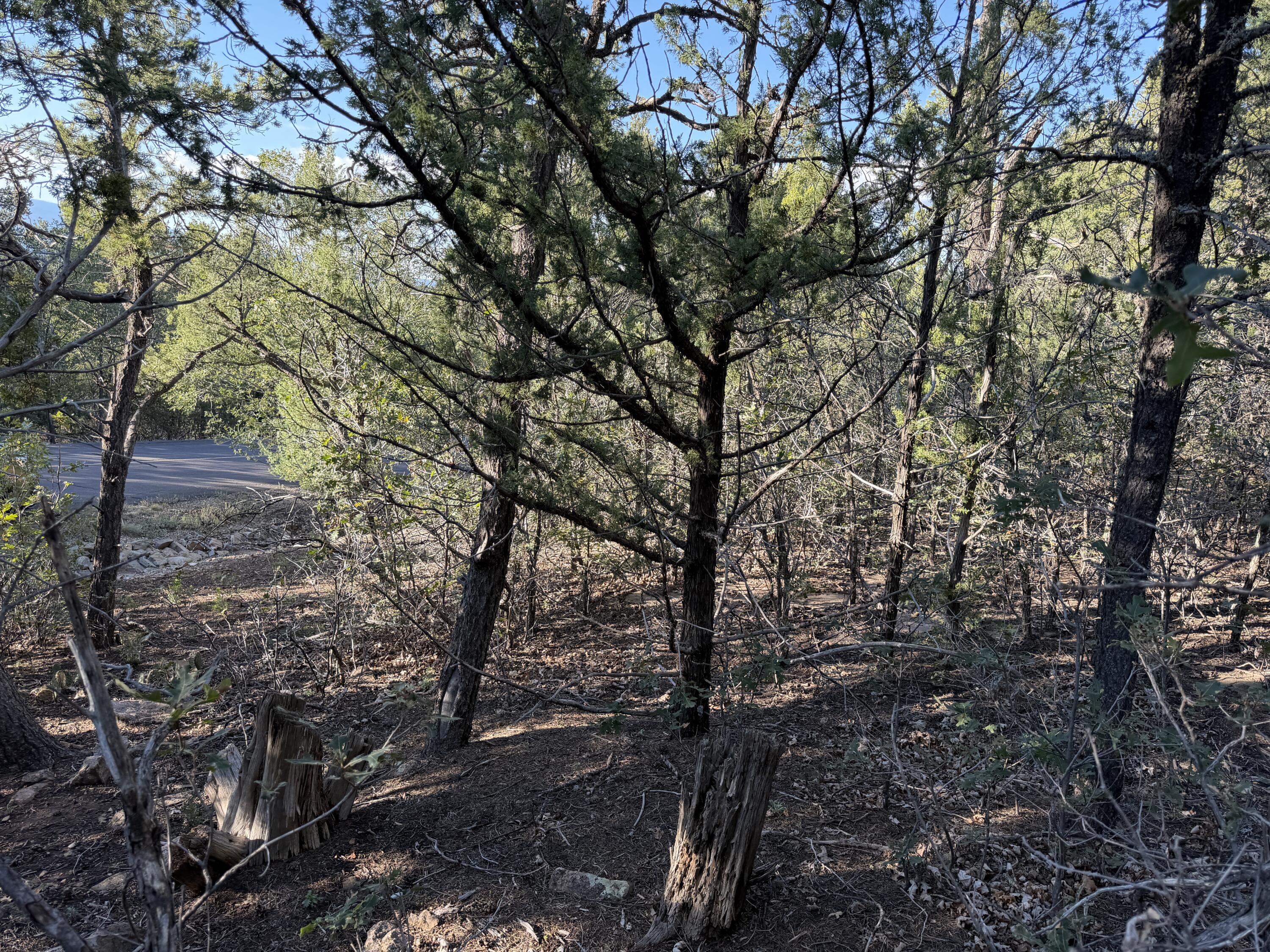 Photo 8 — 9 Los Pecos Loop