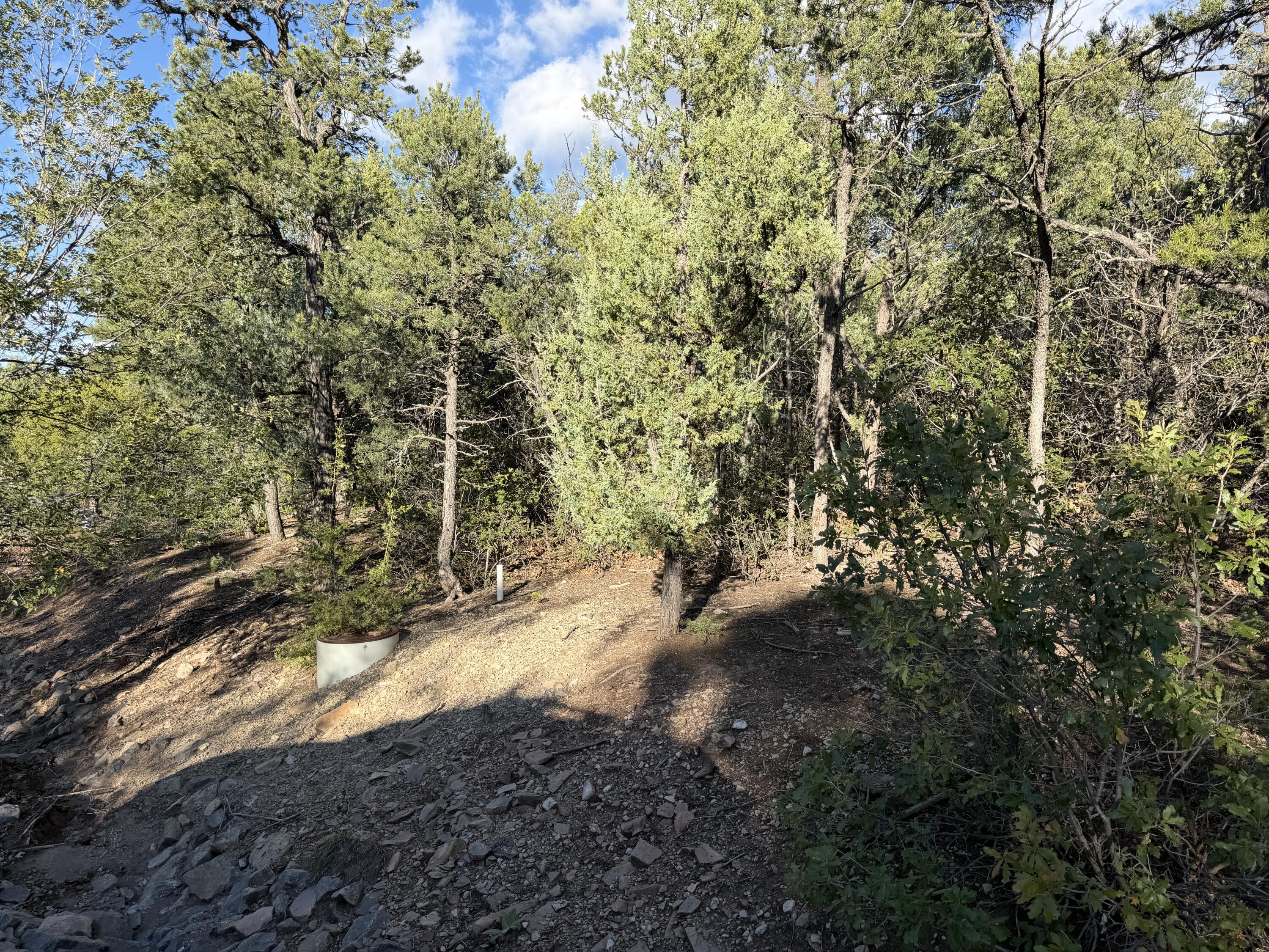 Photo 5 — 9 Los Pecos Loop