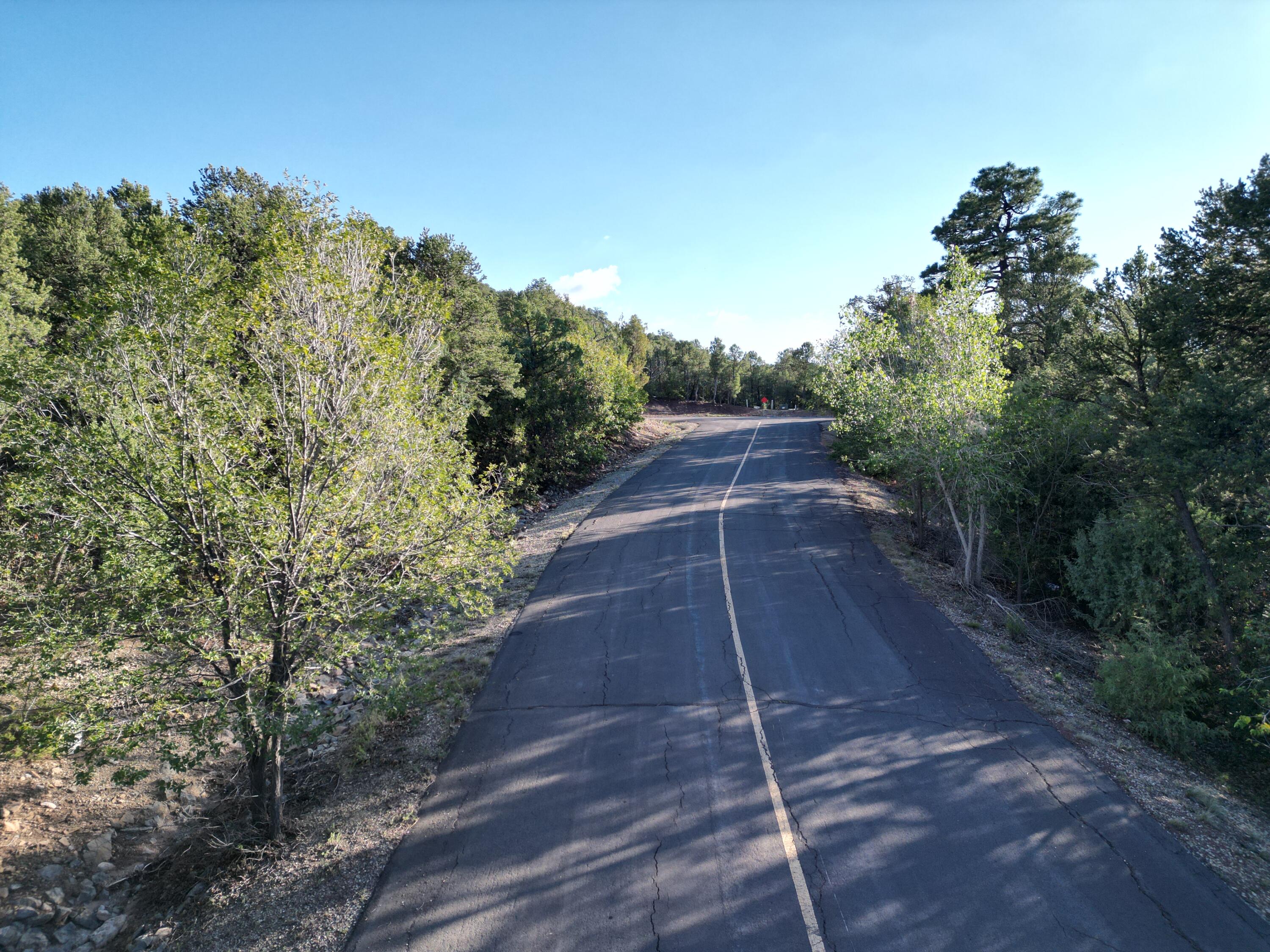 Photo 4 — 9 Los Pecos Loop