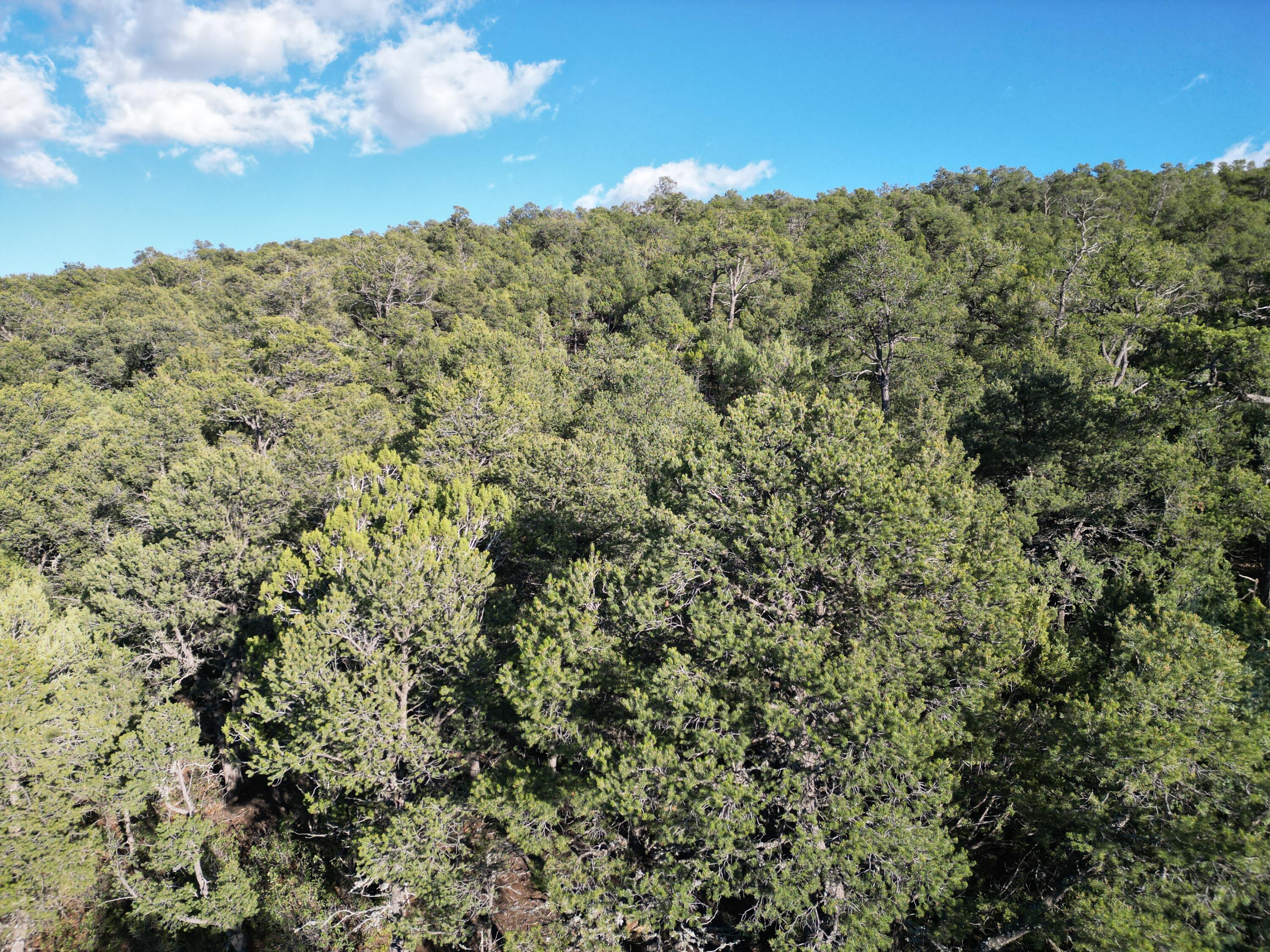 Photo 3 — 9 Los Pecos Loop