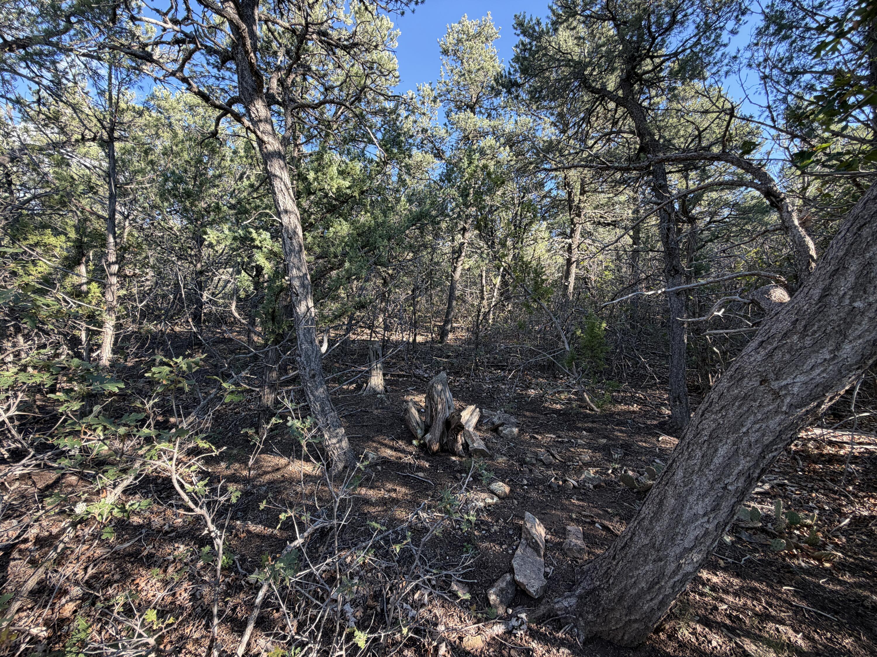 Photo 13 — 9 Los Pecos Loop