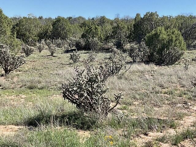 65 Las Colinas Road, Edgewood, NM 87015