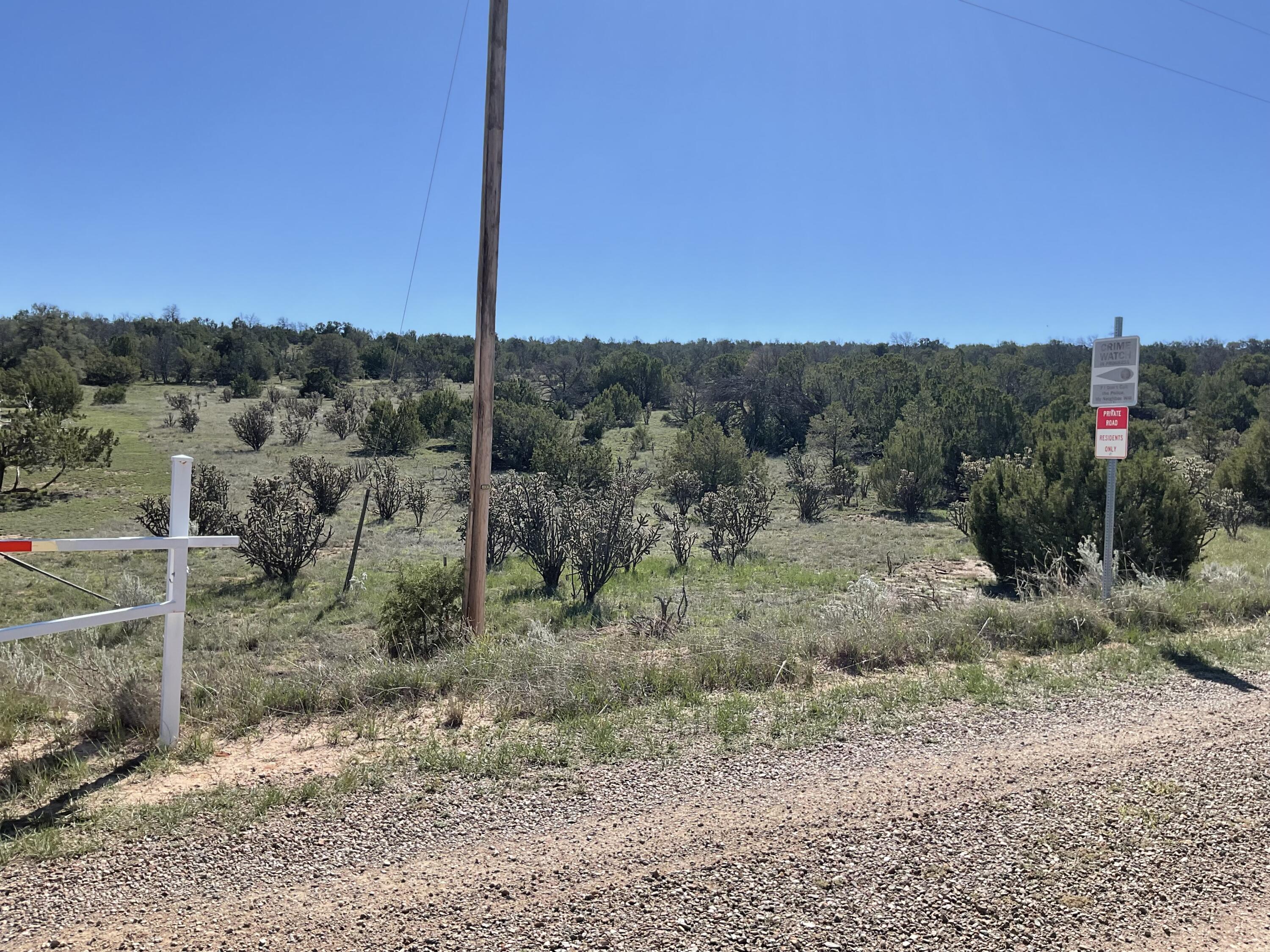 Photo 8 — 65 Las Colinas Road
