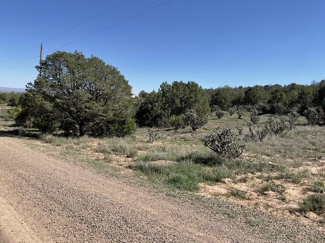 Photo 6 — 65 Las Colinas Road