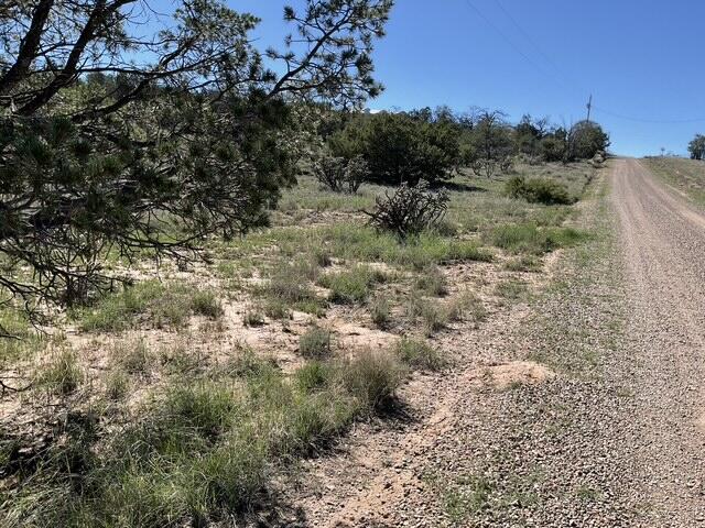 Photo 5 — 65 Las Colinas Road