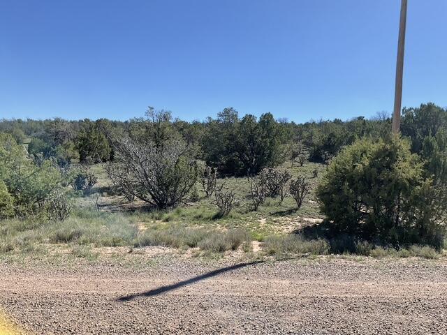 Photo 4 — 65 Las Colinas Road