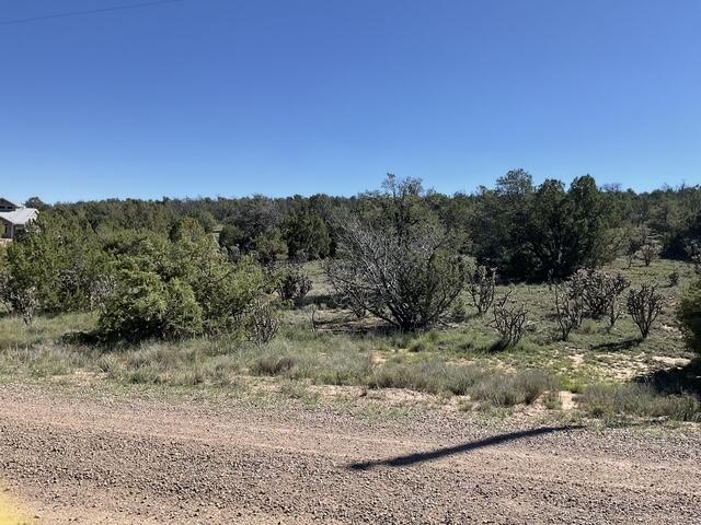 Photo 3 — 65 Las Colinas Road