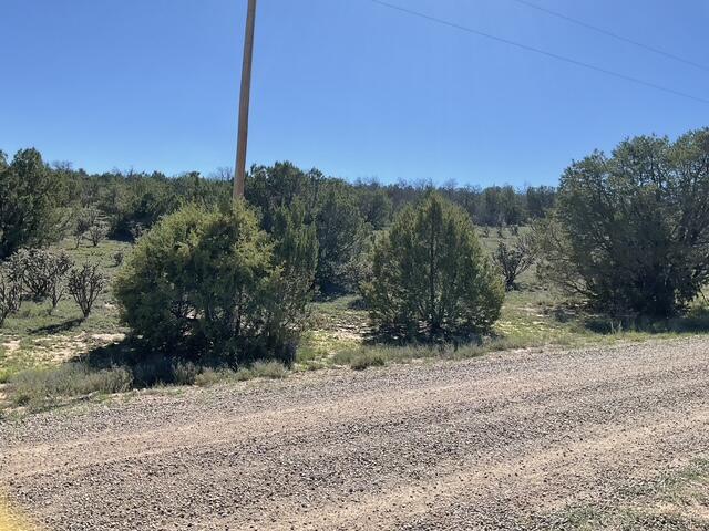 Photo 2 — 65 Las Colinas Road