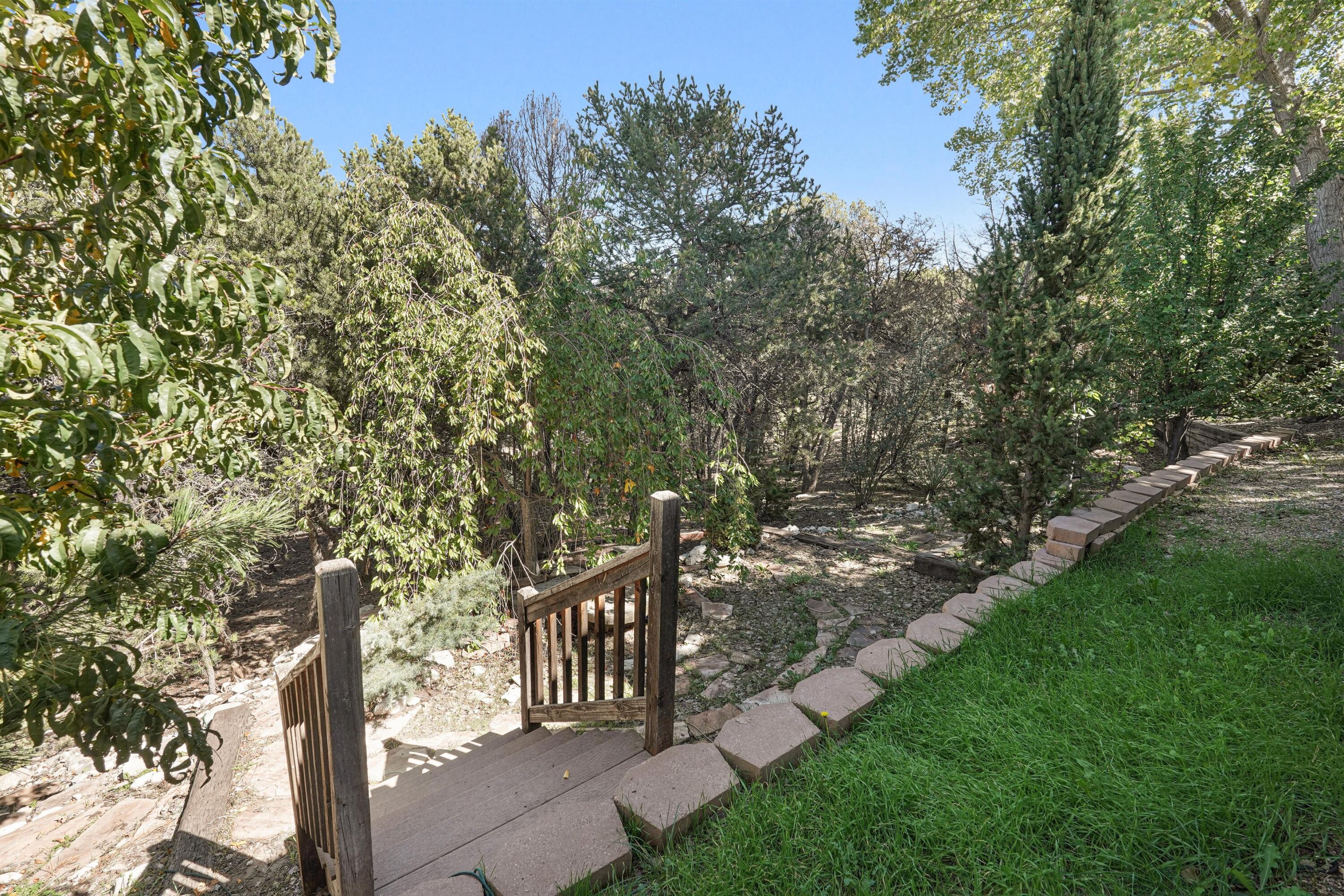 Photo 6 — 67 Pinon Heights Road