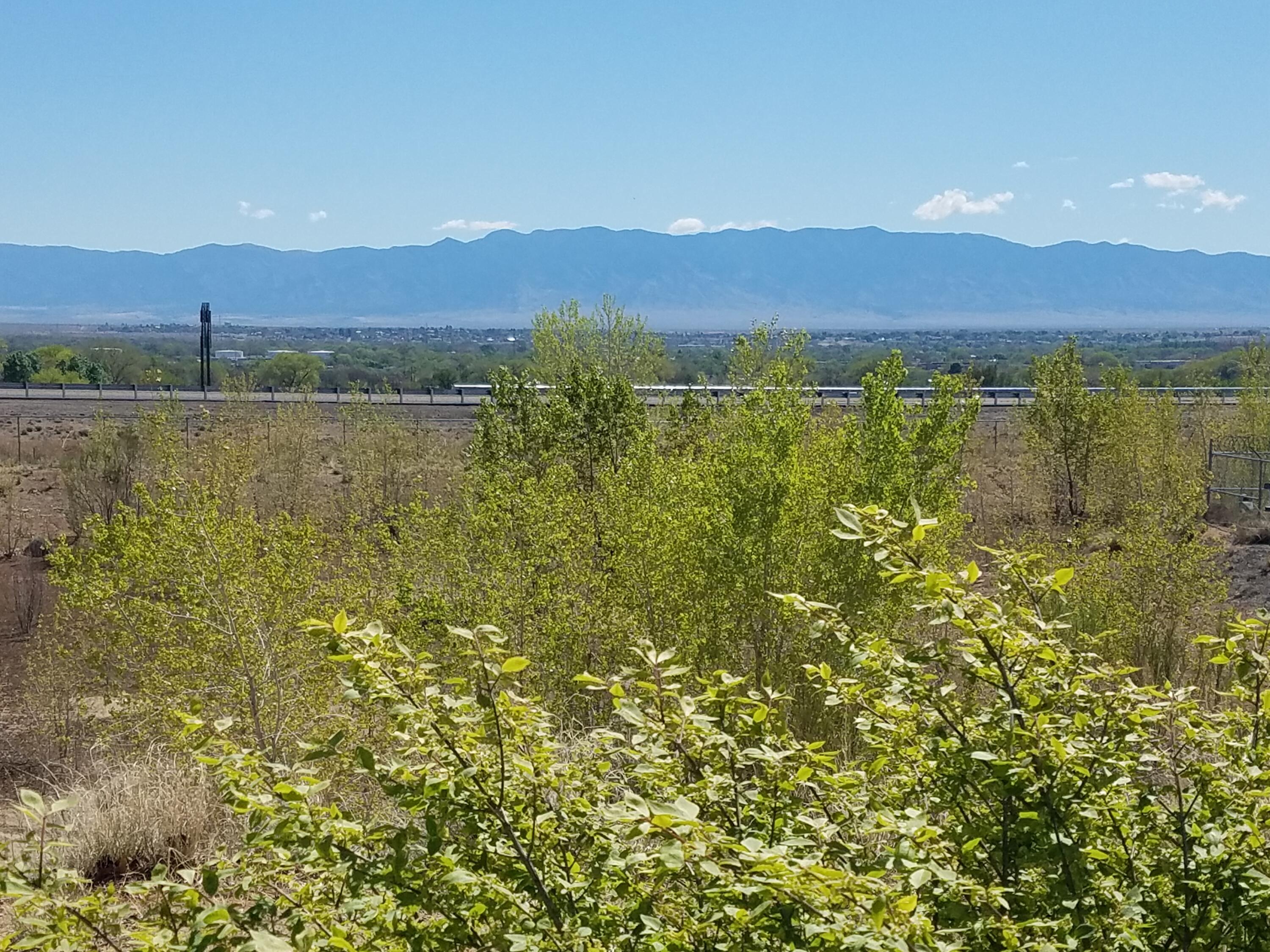 Photo 2 — 231 Sunrise Bluffs Drive