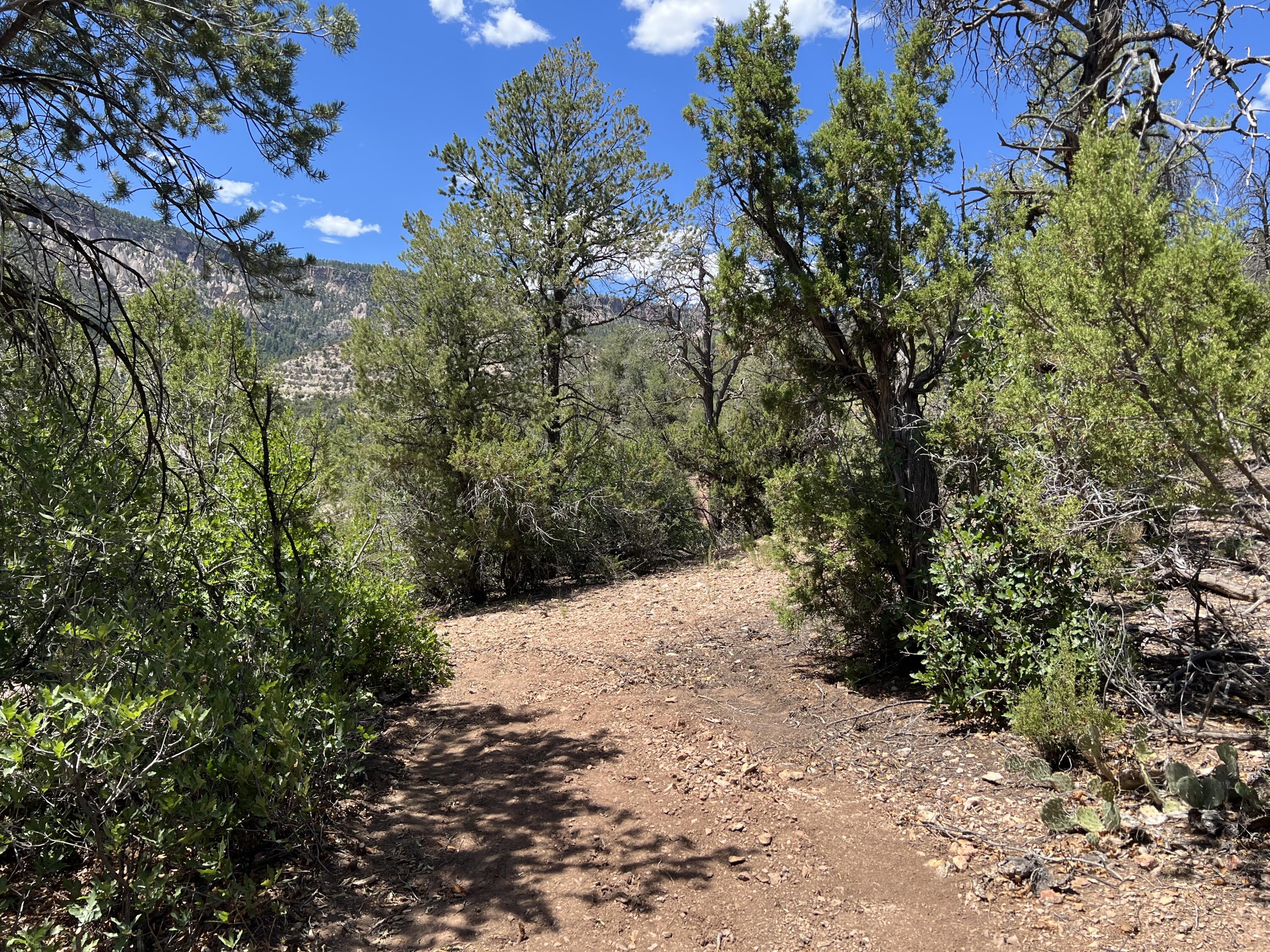 1A3 Calle Pinon, Jemez Springs, NM 87025