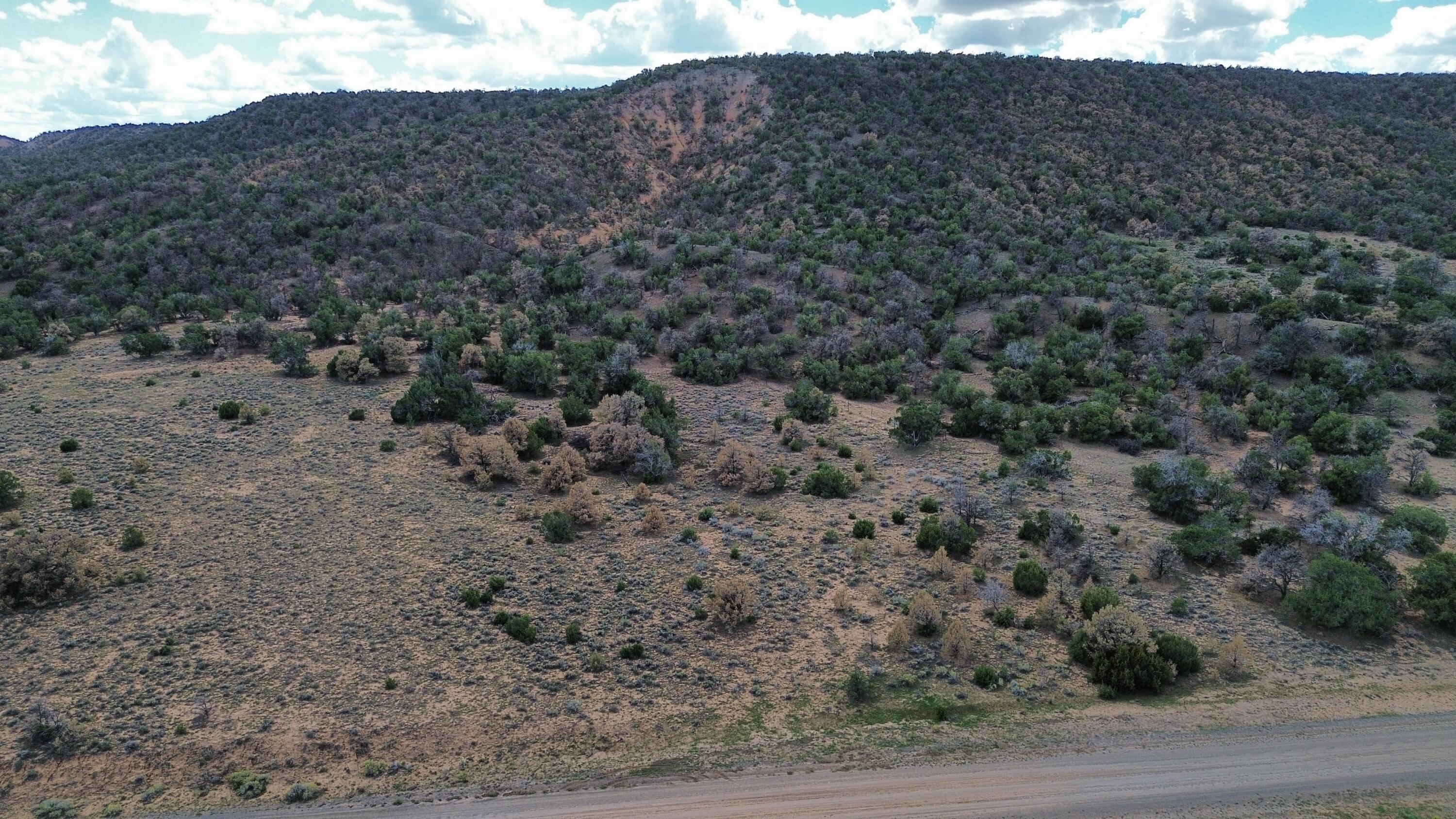 LOT 1 NM-603, Pie Town, NM 87827