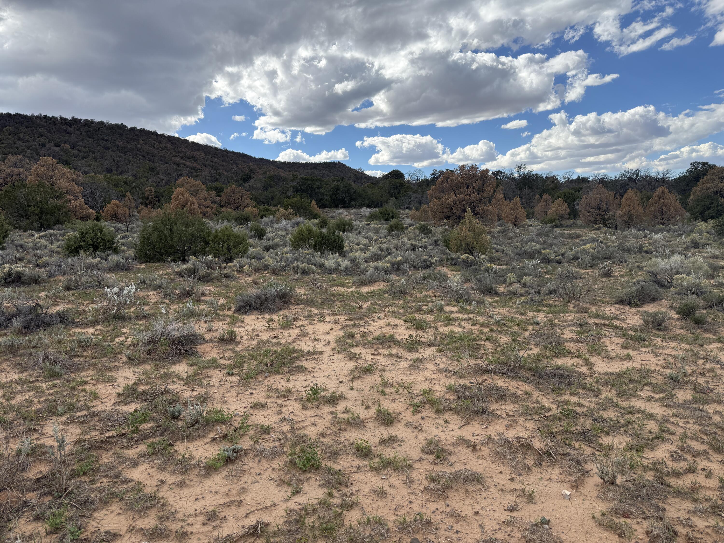 Photo 11 — LOT 1 NM-603