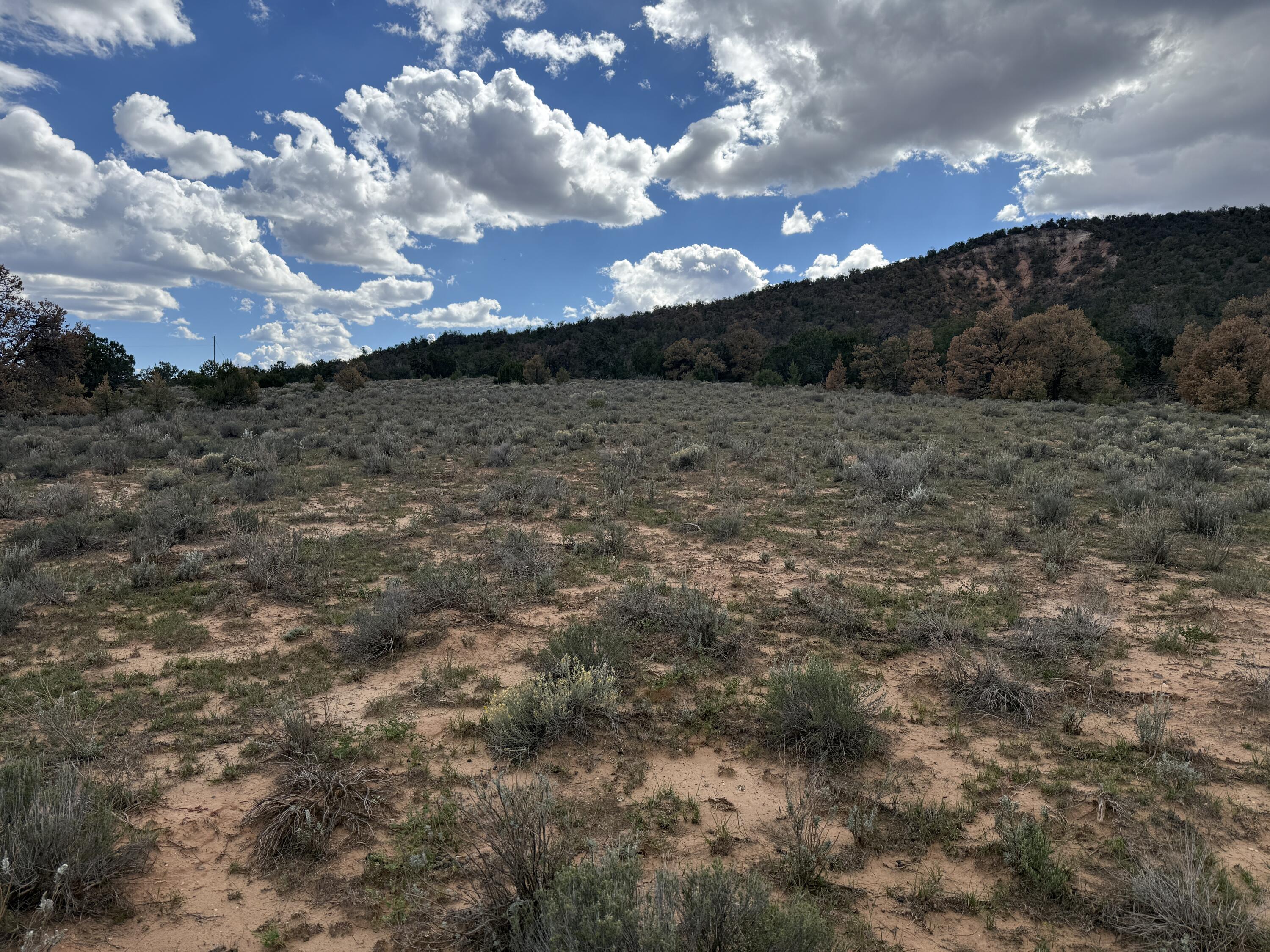 Photo 10 — LOT 1 NM-603