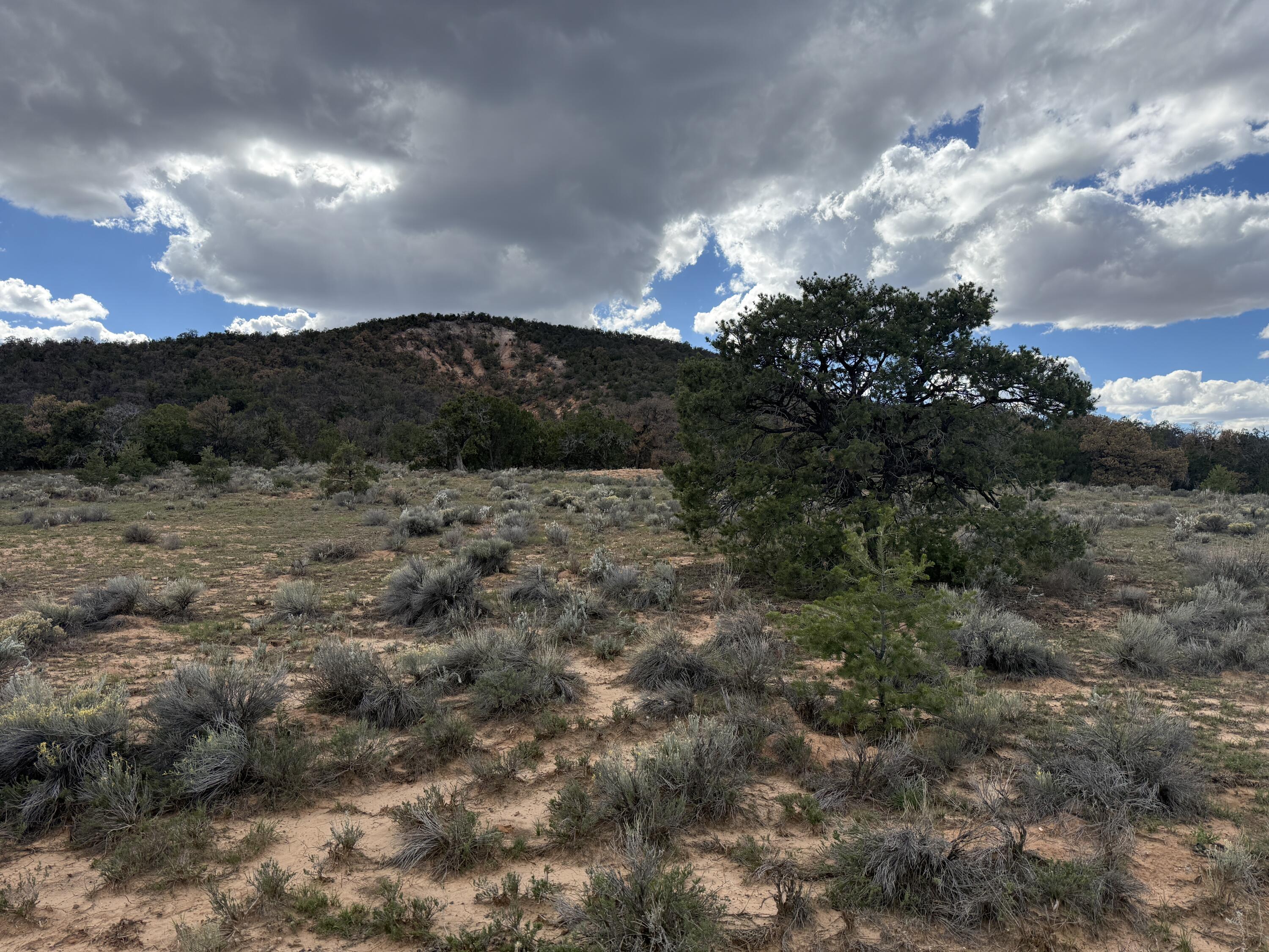 Photo 8 — LOT 1 NM-603
