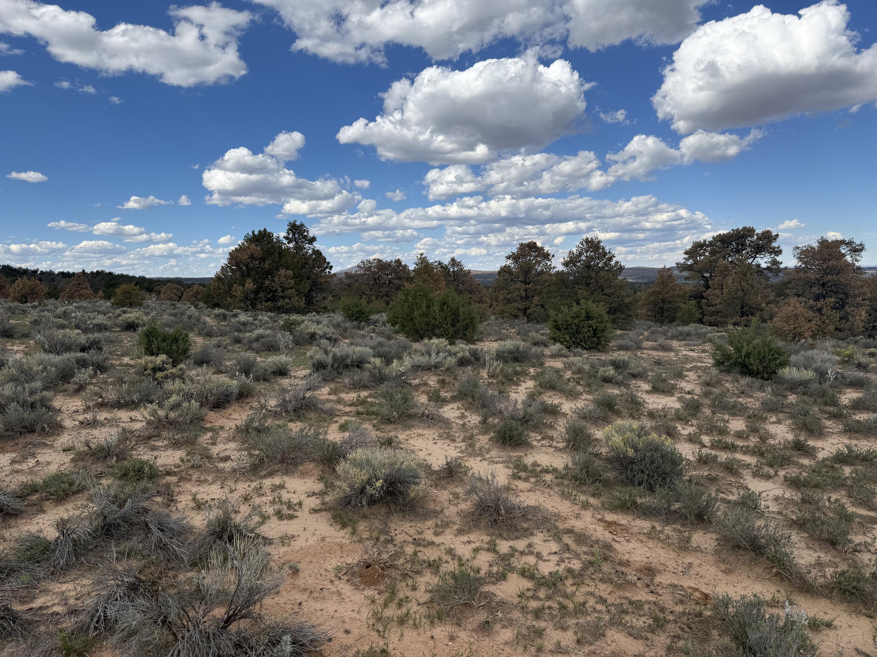 Photo 7 — LOT 1 NM-603