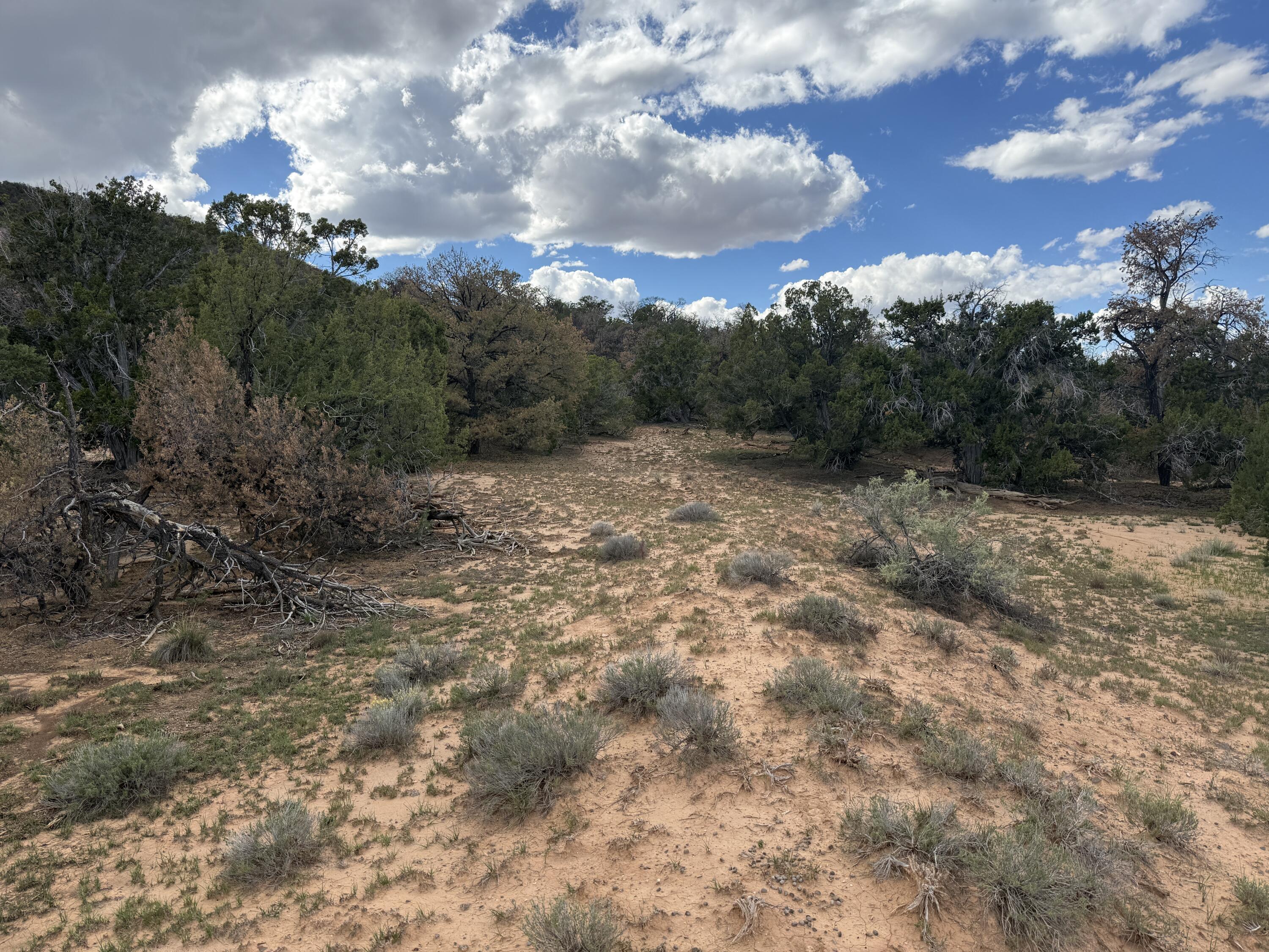 Photo 6 — LOT 1 NM-603