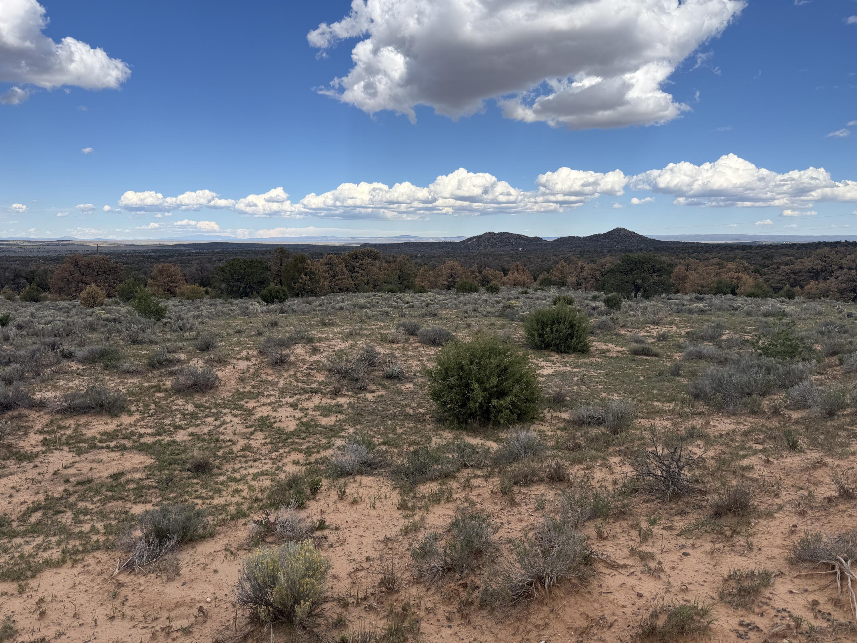 Photo 5 — LOT 1 NM-603