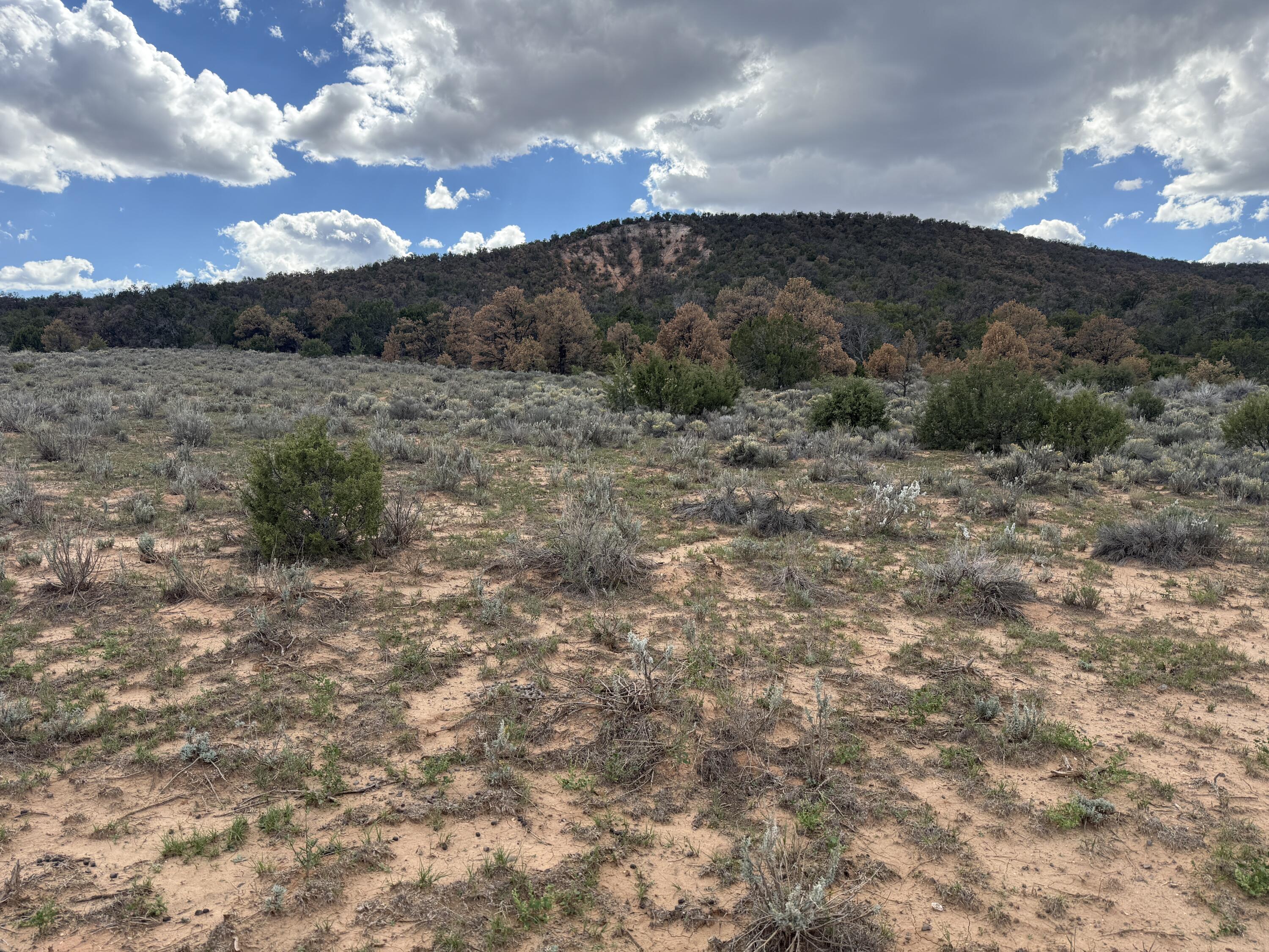 Photo 4 — LOT 1 NM-603