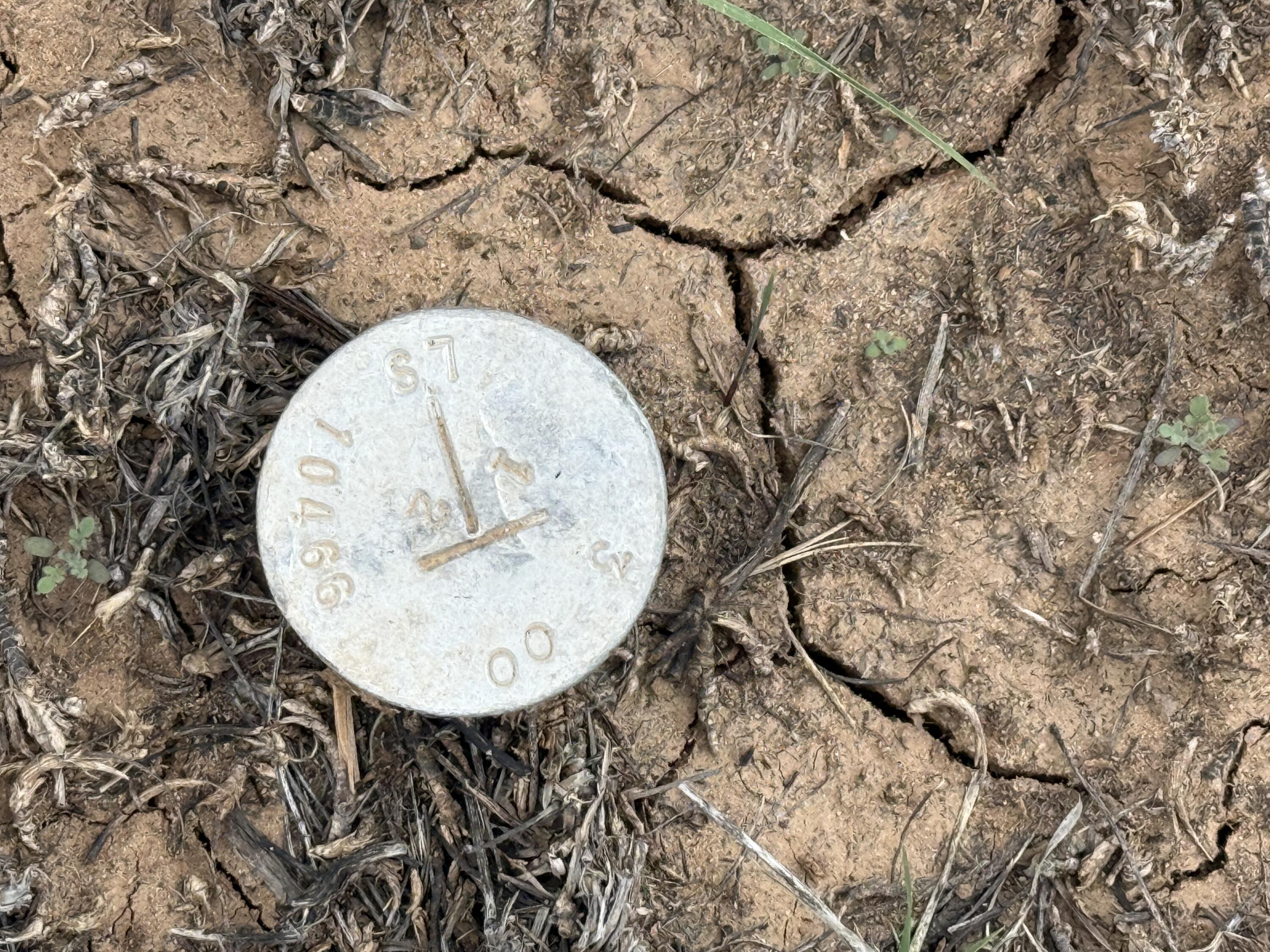 Photo 3 — LOT 1 NM-603