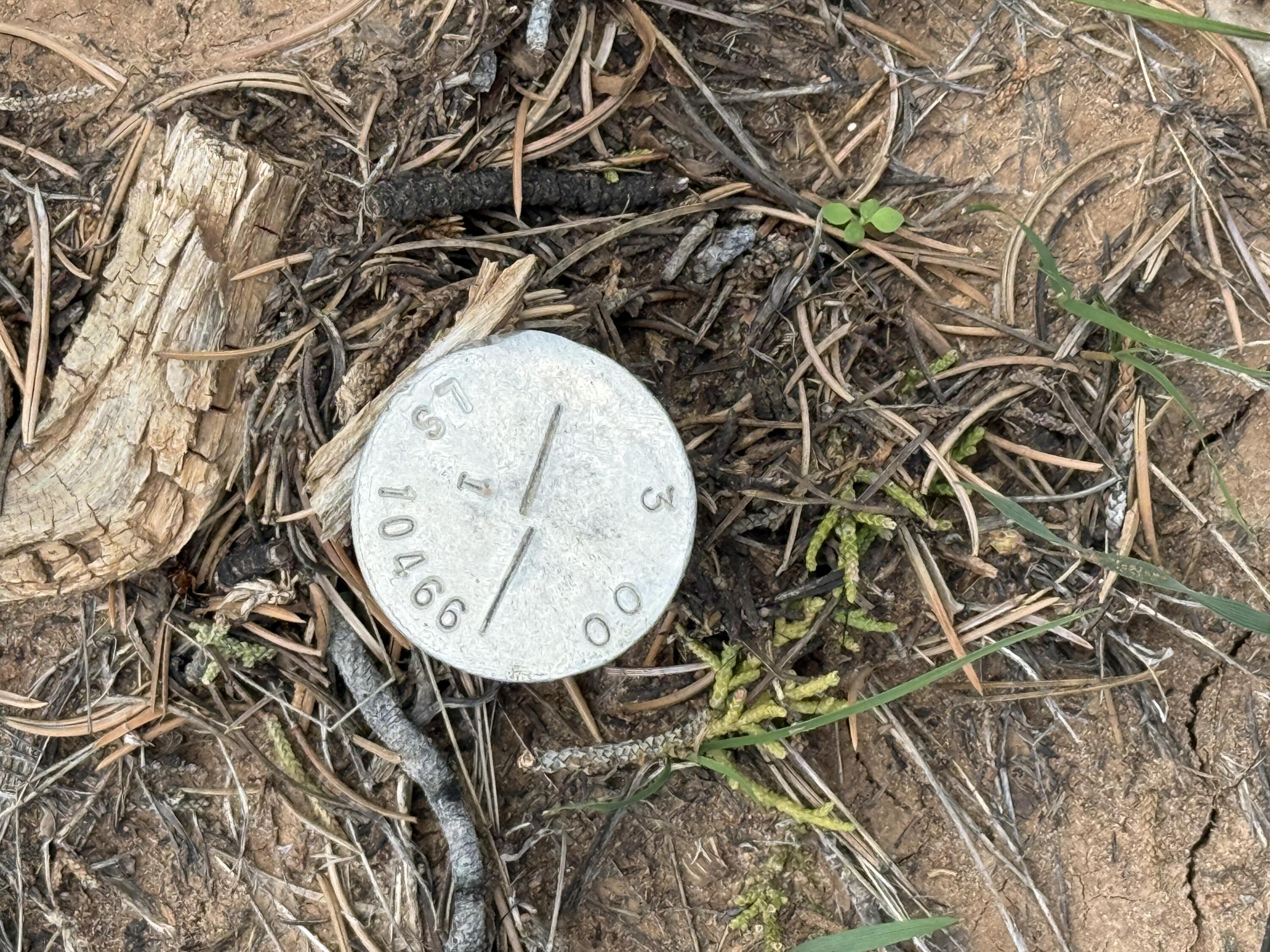 Photo 2 — LOT 1 NM-603