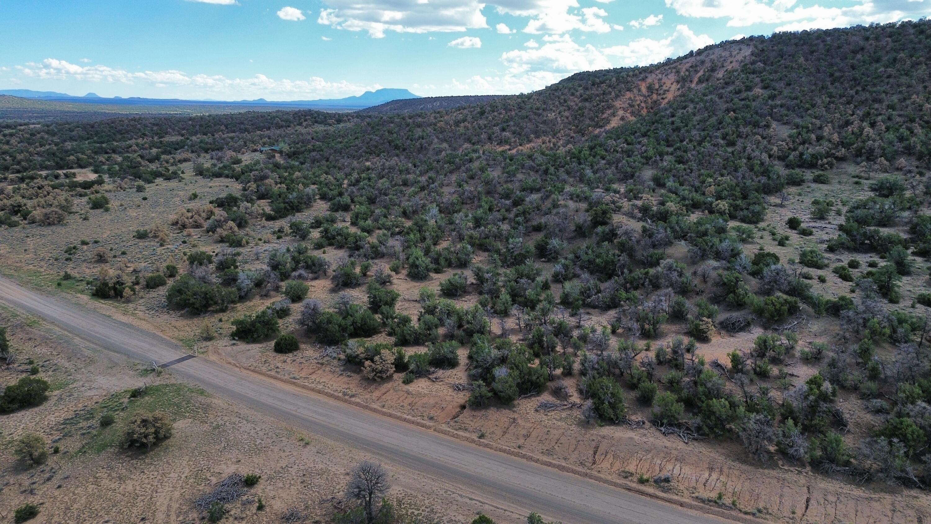 Photo 19 — LOT 1 NM-603
