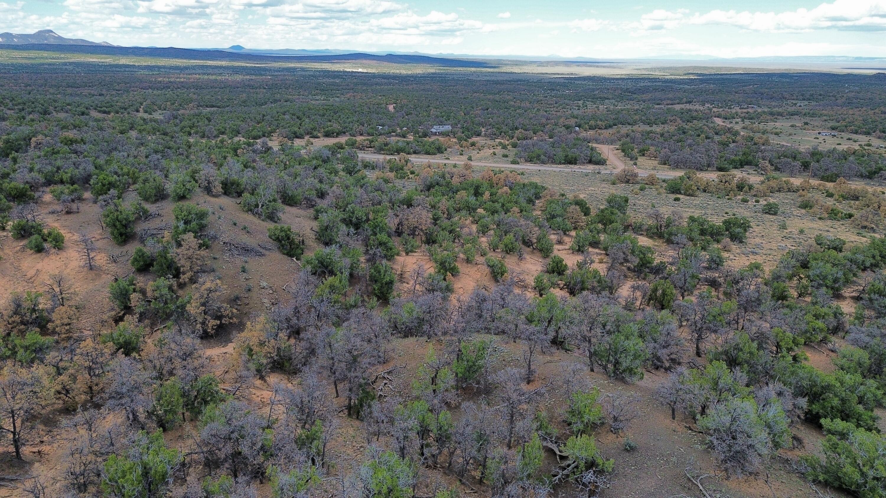 Photo 18 — LOT 1 NM-603