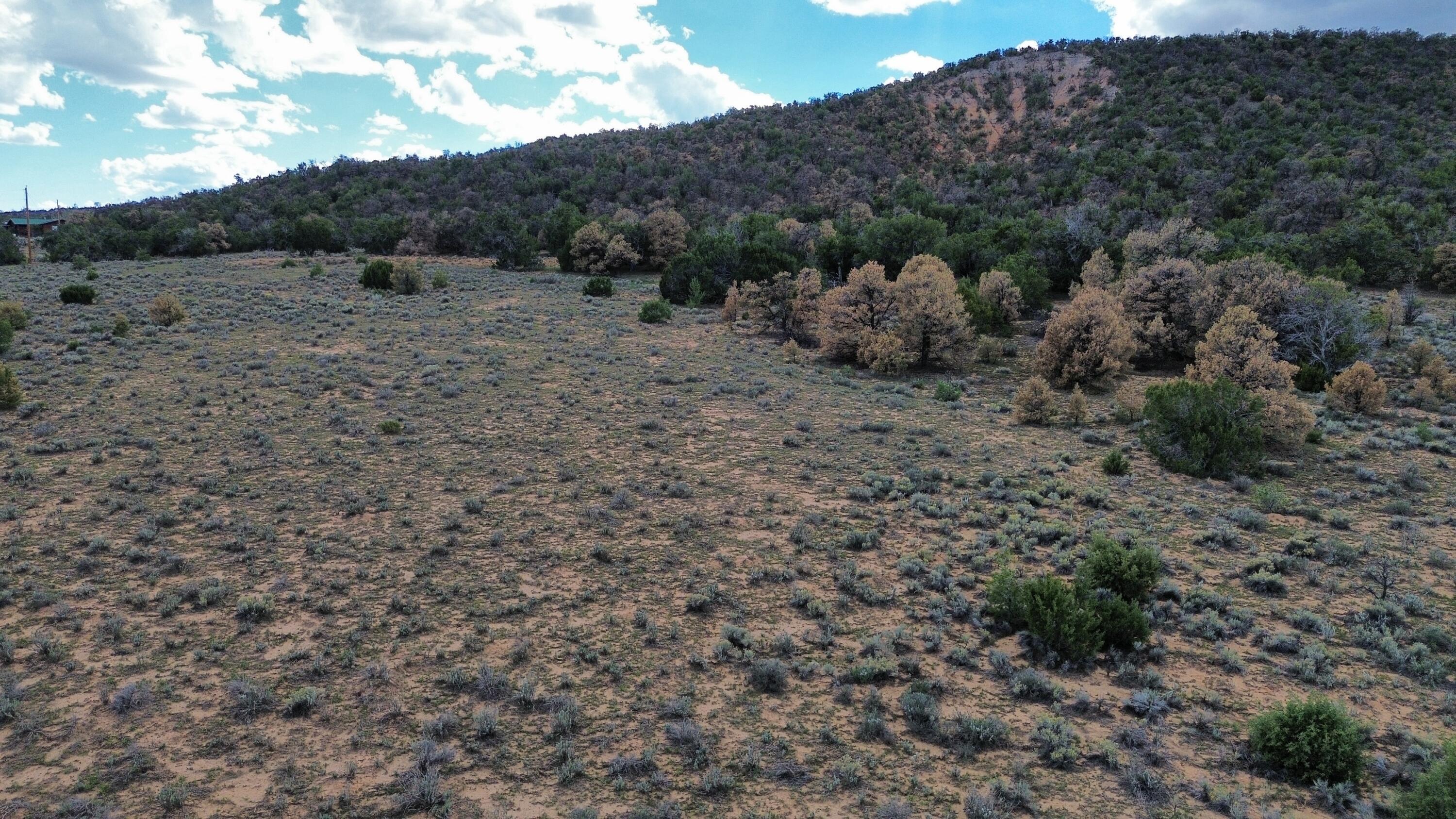 Photo 17 — LOT 1 NM-603