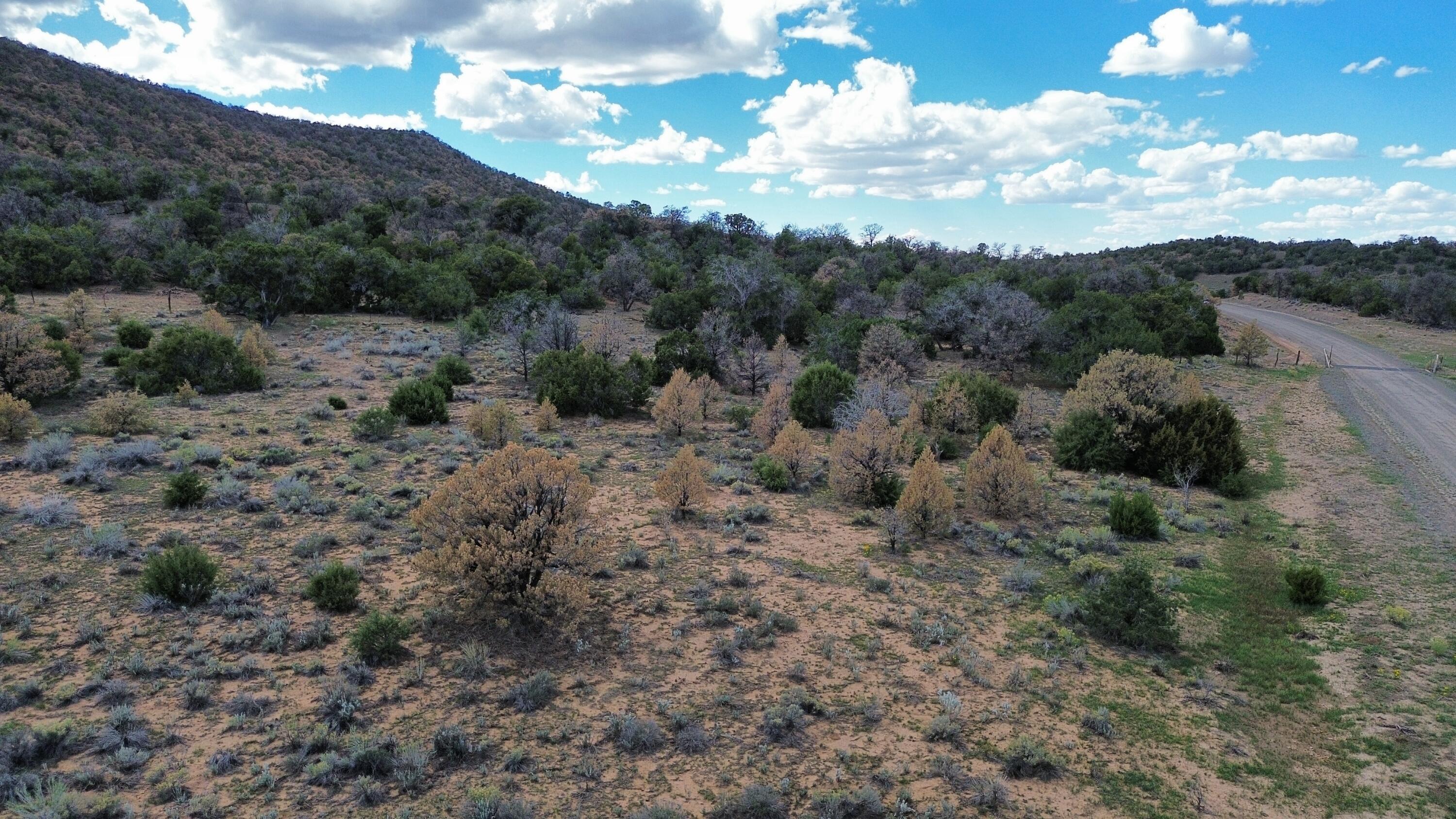 Photo 15 — LOT 1 NM-603