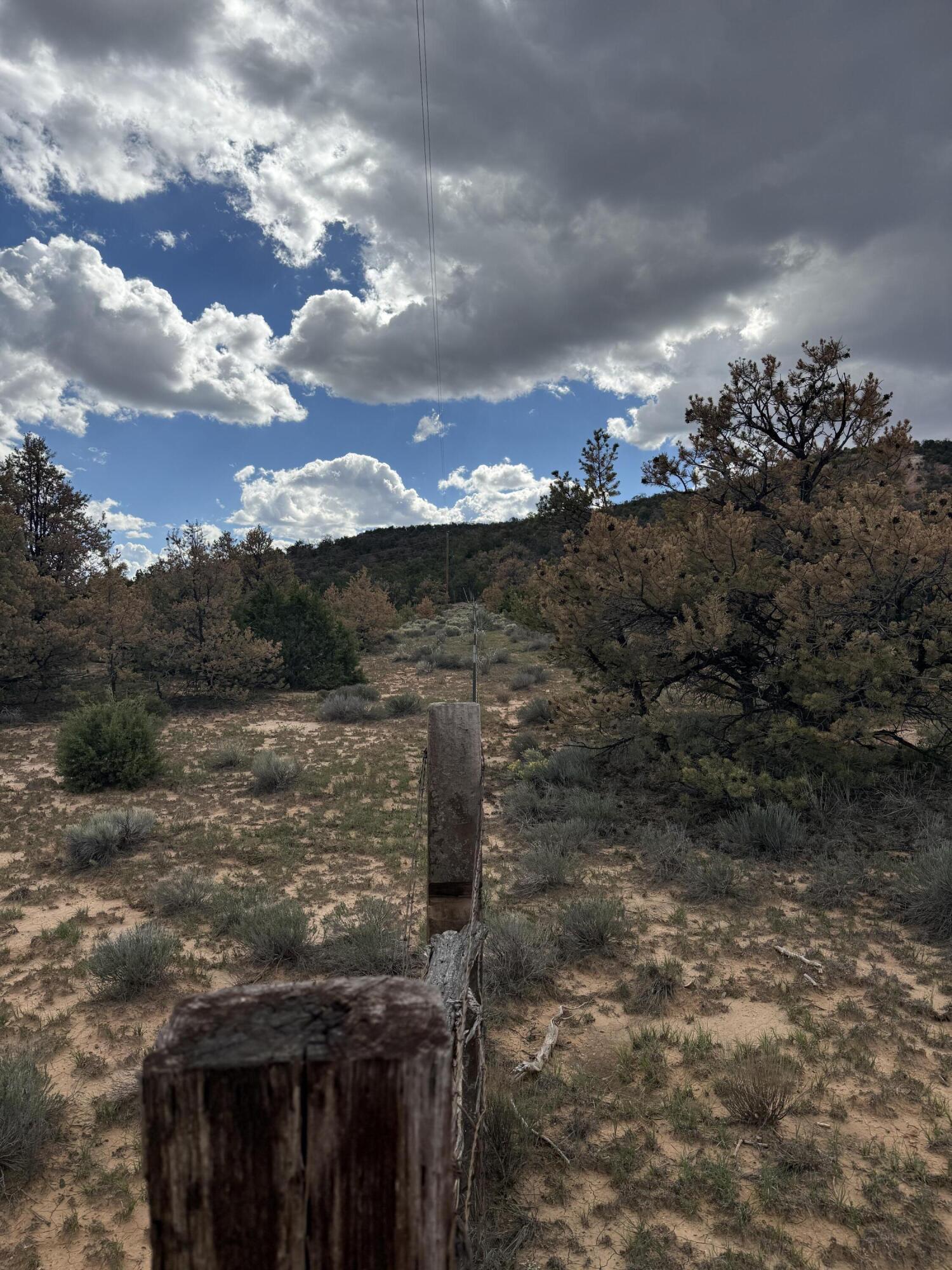 Photo 13 — LOT 1 NM-603