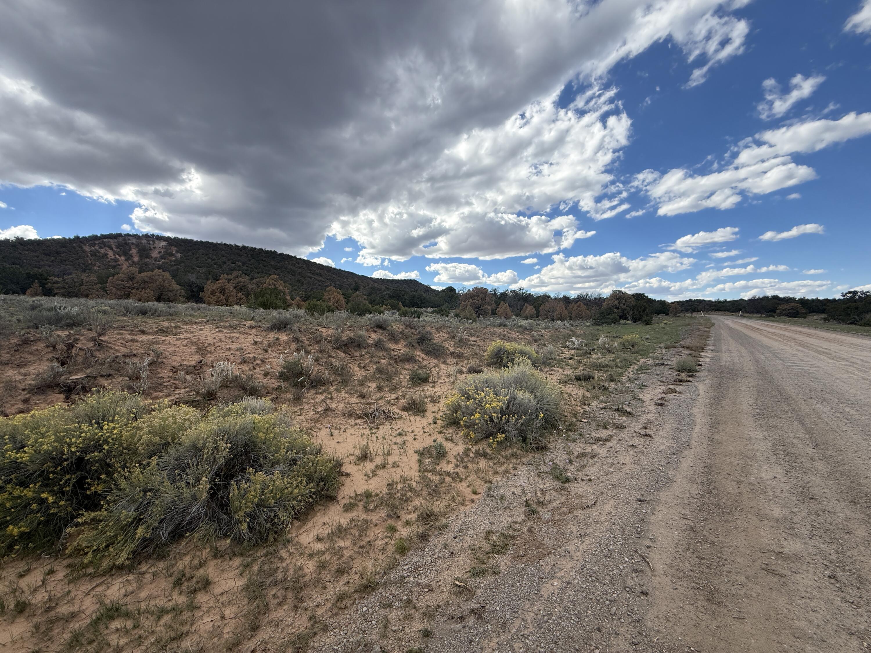 Photo 12 — LOT 1 NM-603