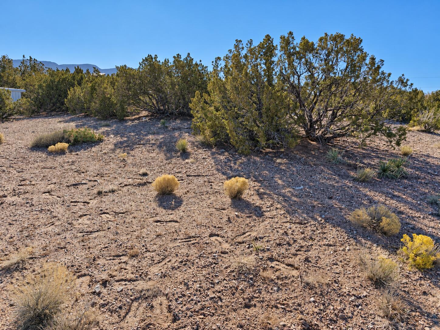 Photo 2 — 74 Desert Mountain Road
