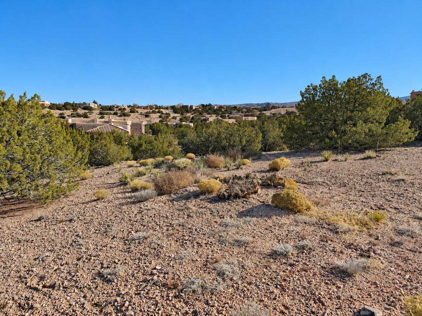 Photo 3 — 74 Desert Mountain Road