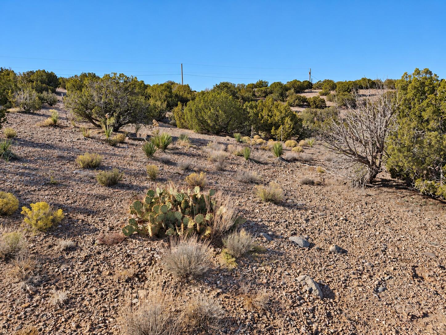 Photo 6 — 74 Desert Mountain Road