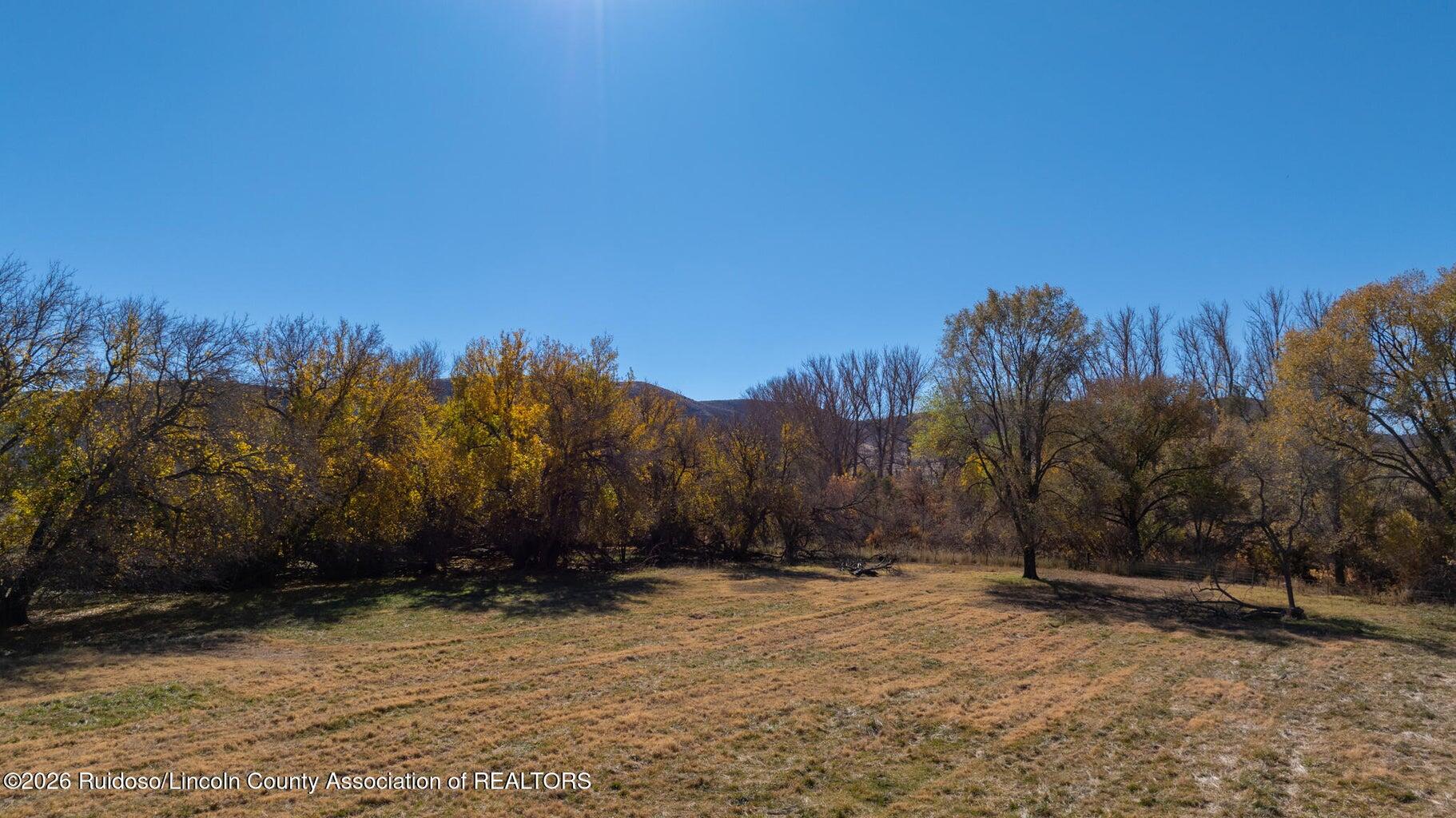 Photo 6 — 29224 U.S. Highway 70
