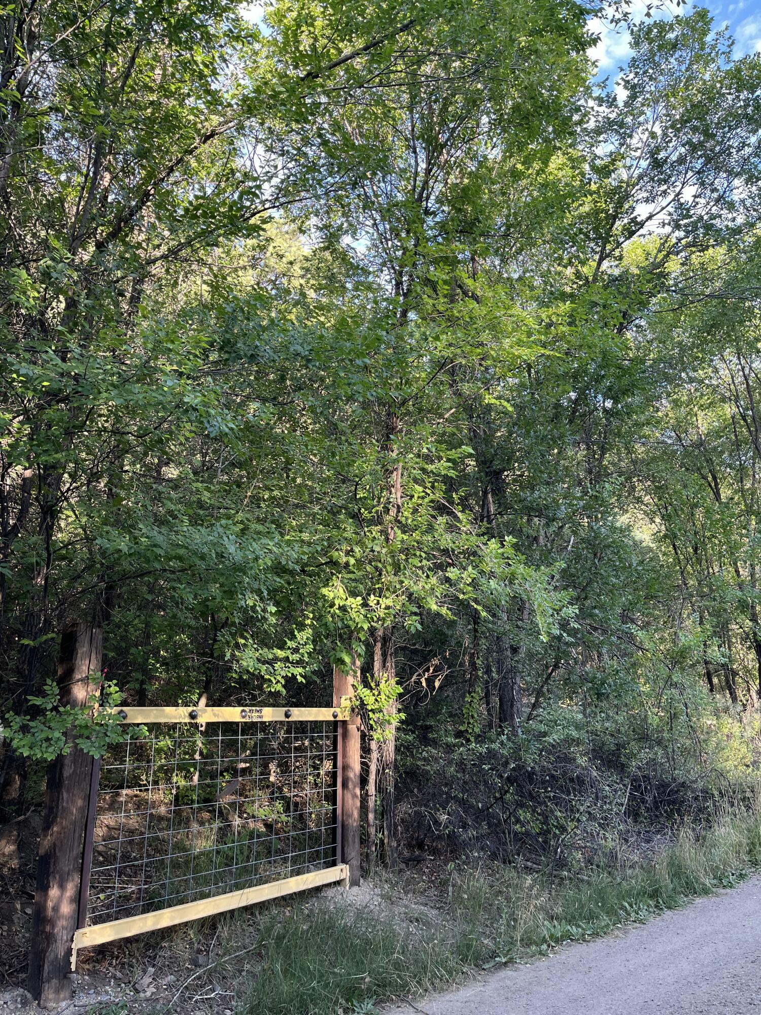 Photo 4 — Lots 5 & 6 Rainbow Trout Lane