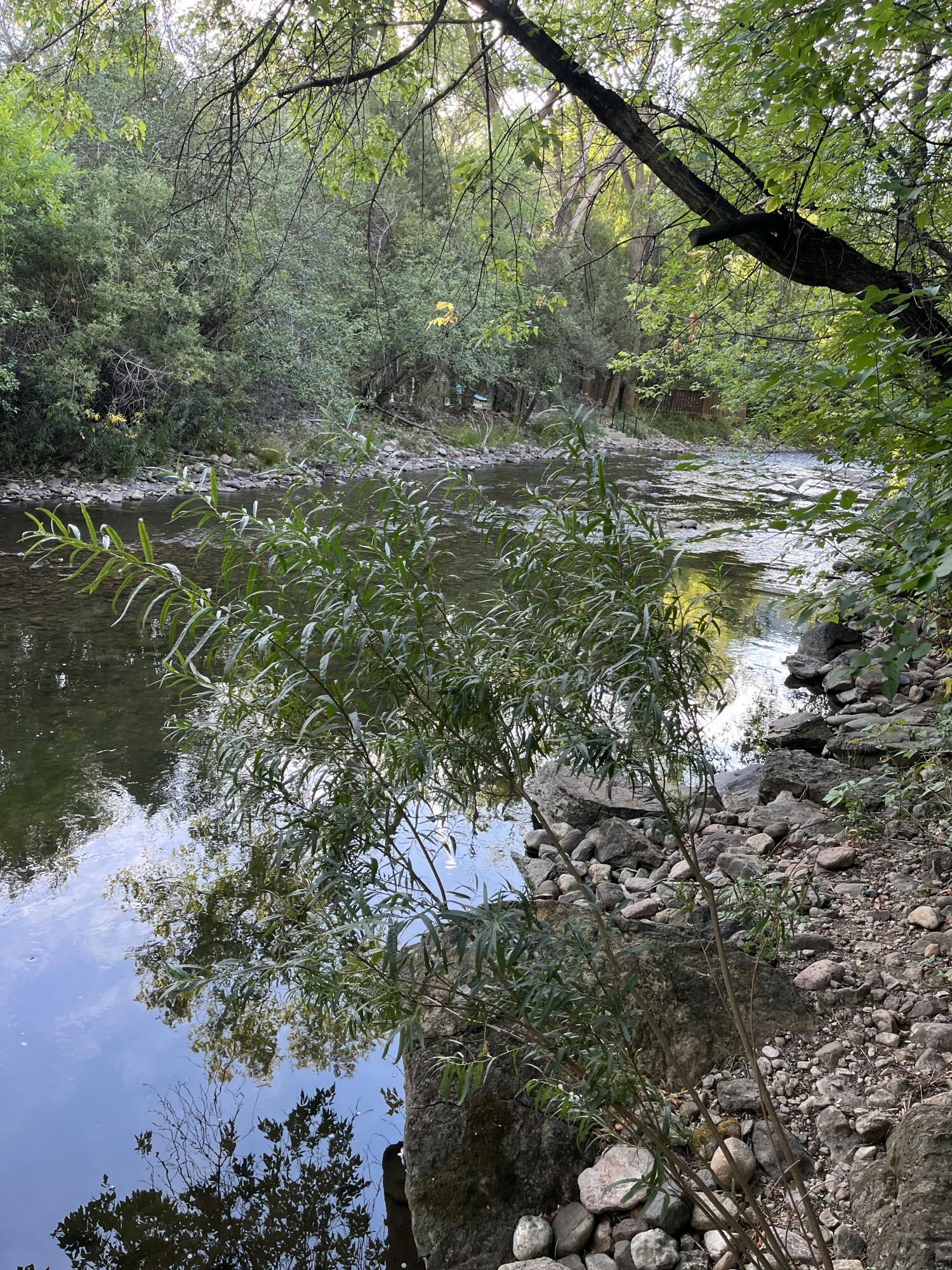 Photo 3 — Lots 5 & 6 Rainbow Trout Lane