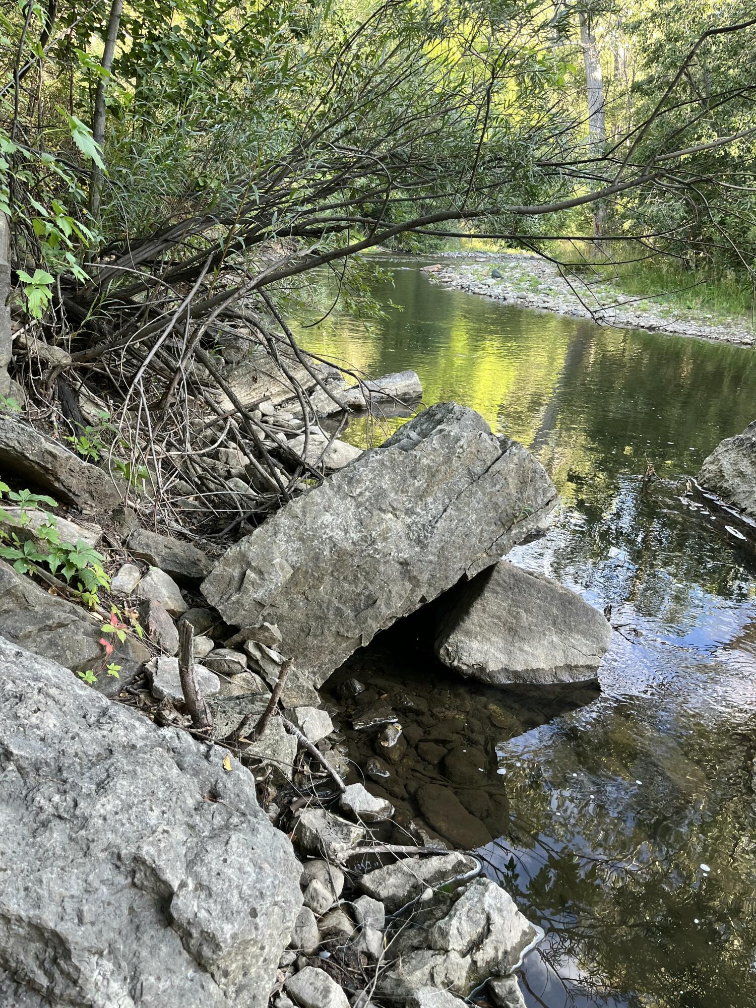 Photo 2 — Lots 5 & 6 Rainbow Trout Lane