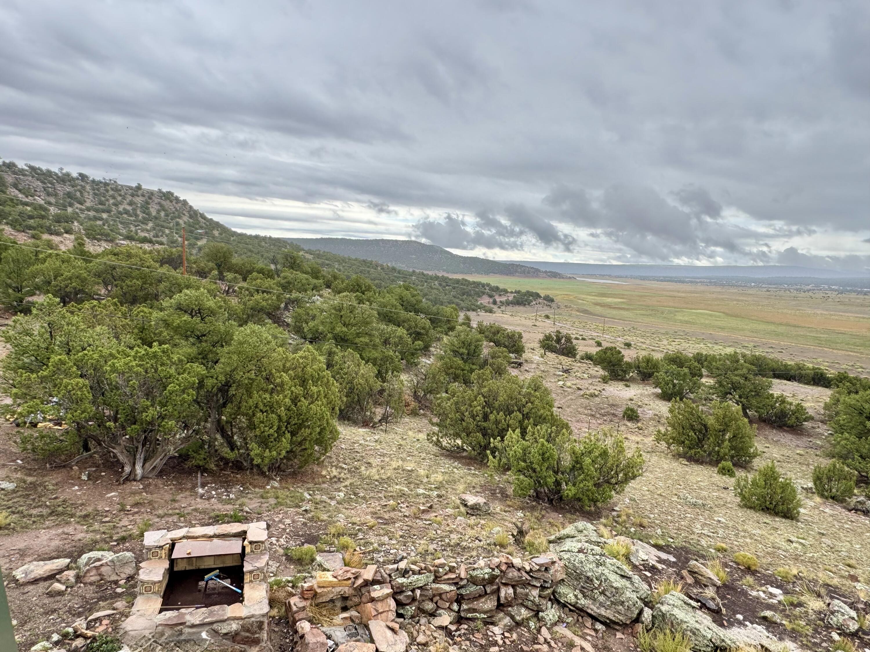 Photo 18 — 31 Bluff Road