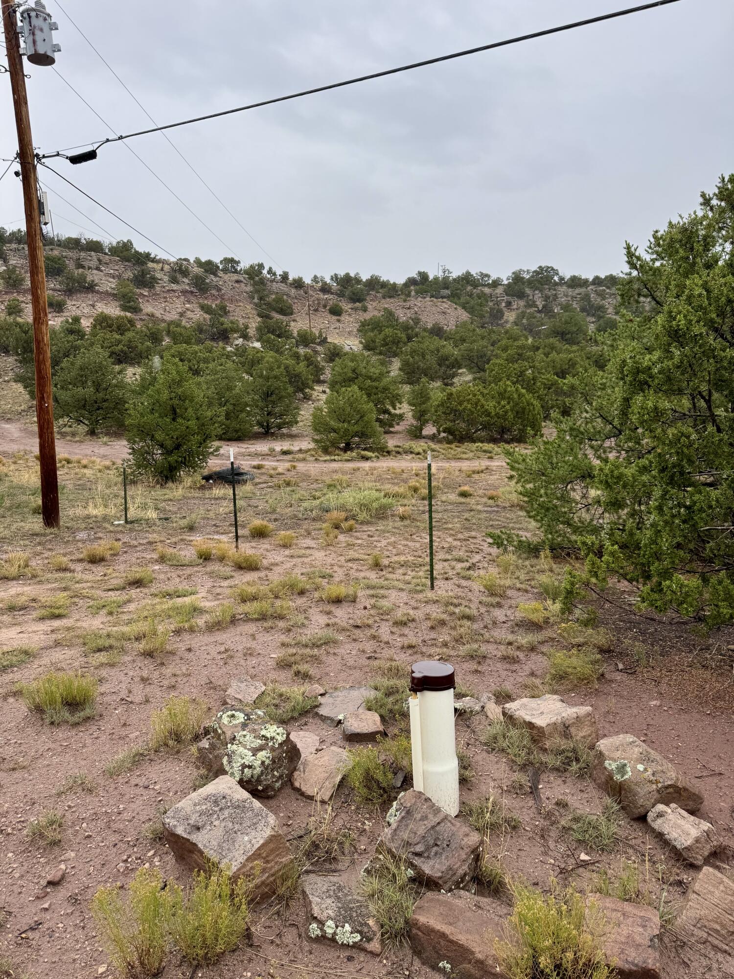 Photo 20 — 31 Bluff Road