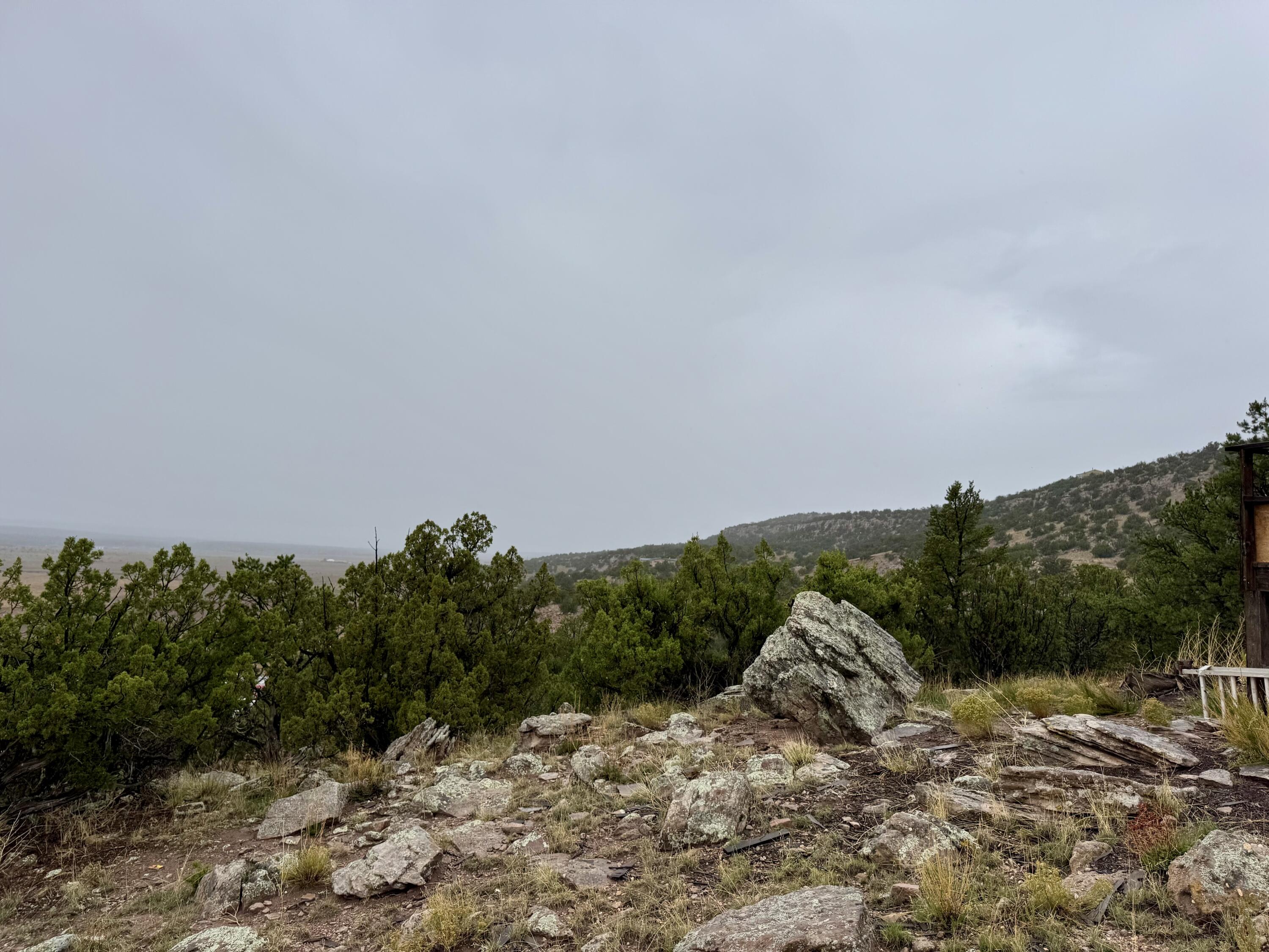 Photo 2 — 31 Bluff Road