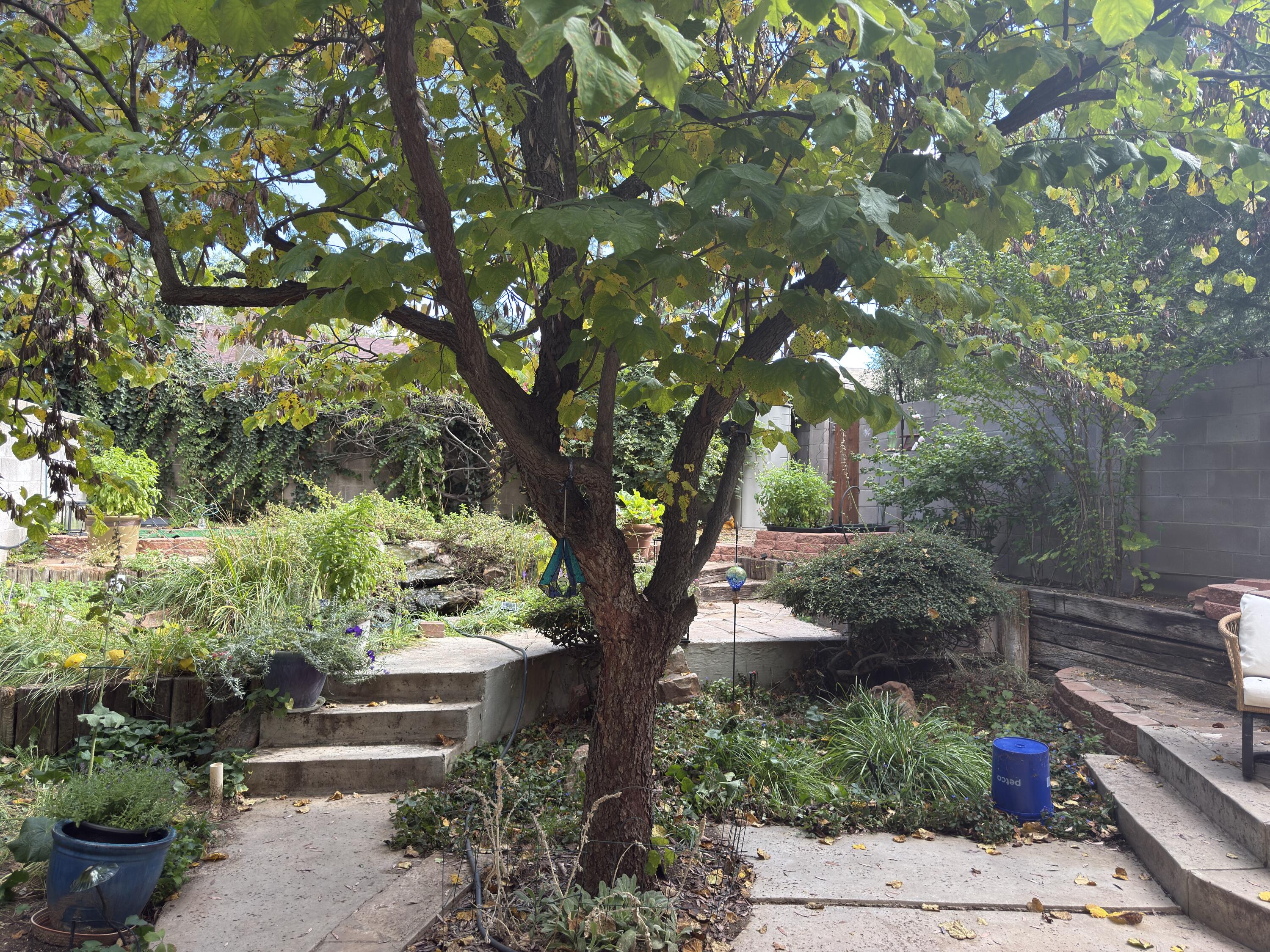 Photo 4 — 5536 Overlook Drive NE